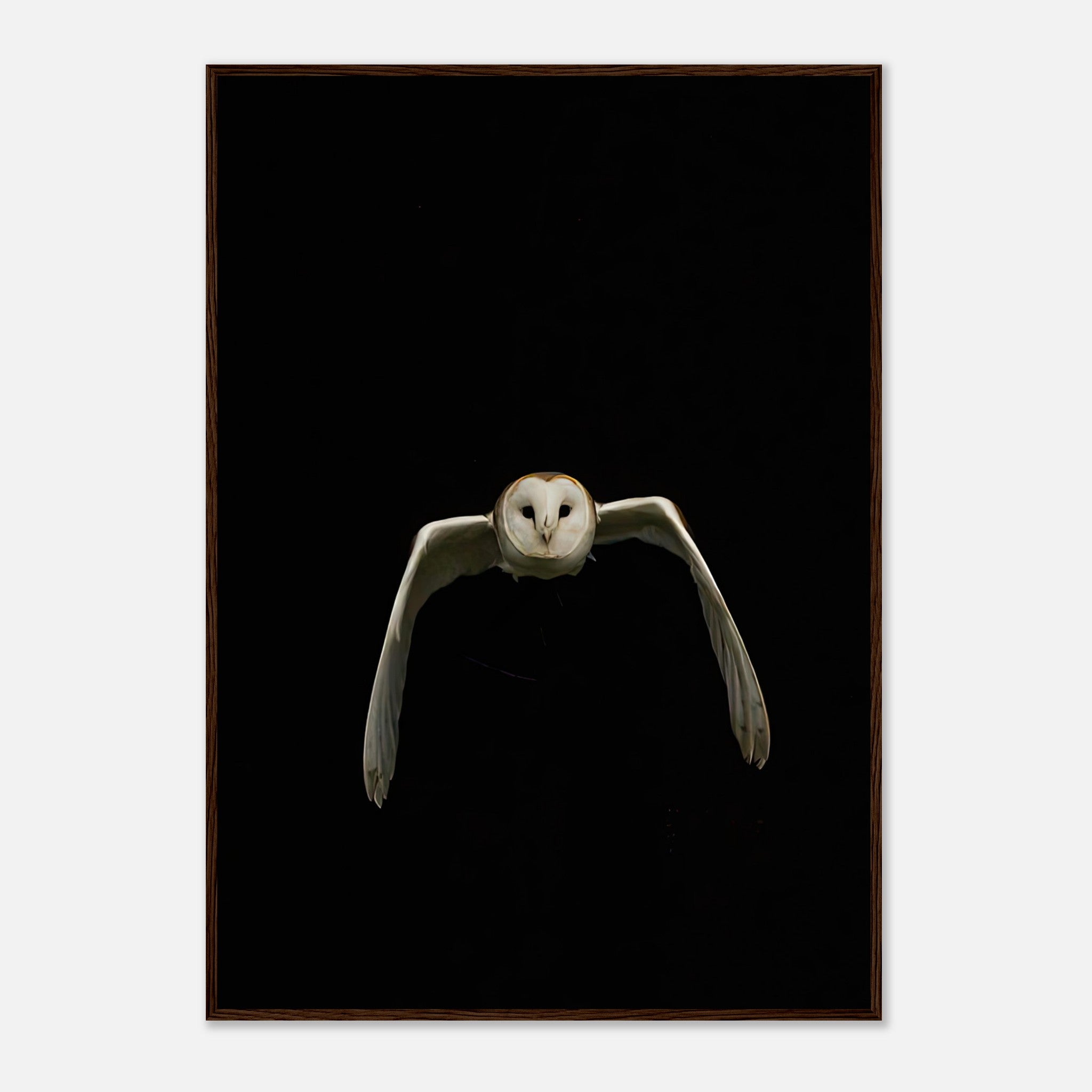 Owl Framed Print featuring a barn owl mid-flight against a black backdrop, perfect for modern home decor.
