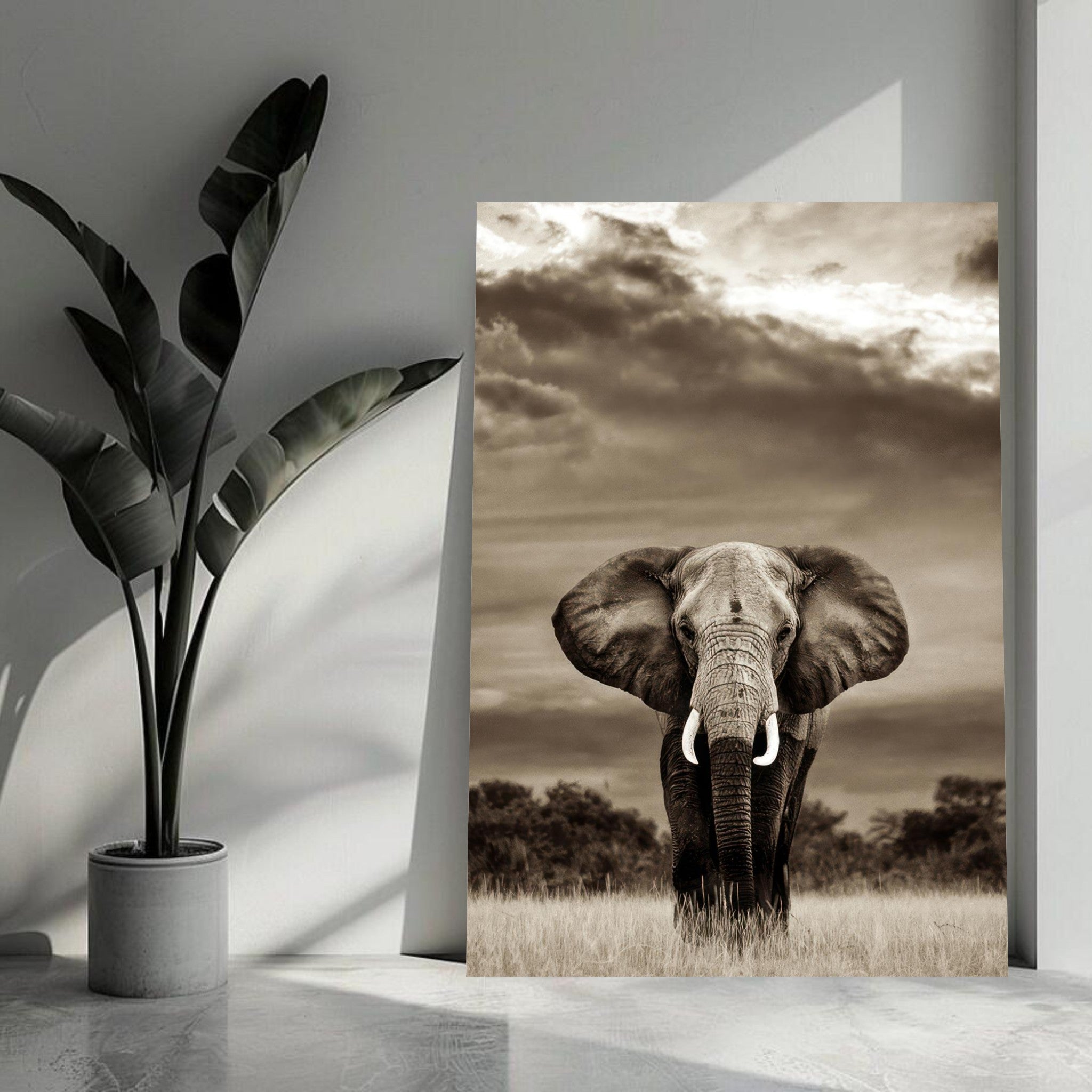 Stunning black-and-white metal print of an elephant showcasing its majesty and strength in a dramatic landscape.