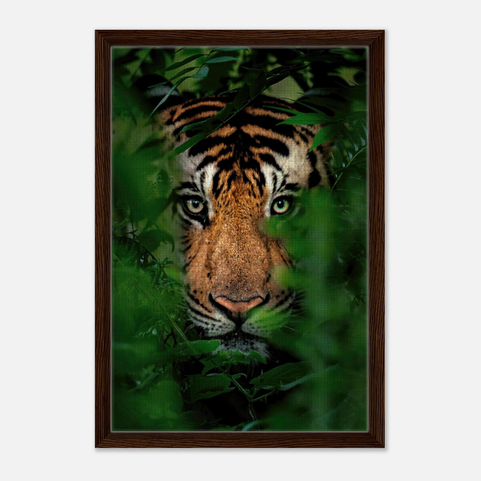 Tiger Through Jungle framed canvas print featuring a close-up of a tiger's intense gaze in lush green foliage.
