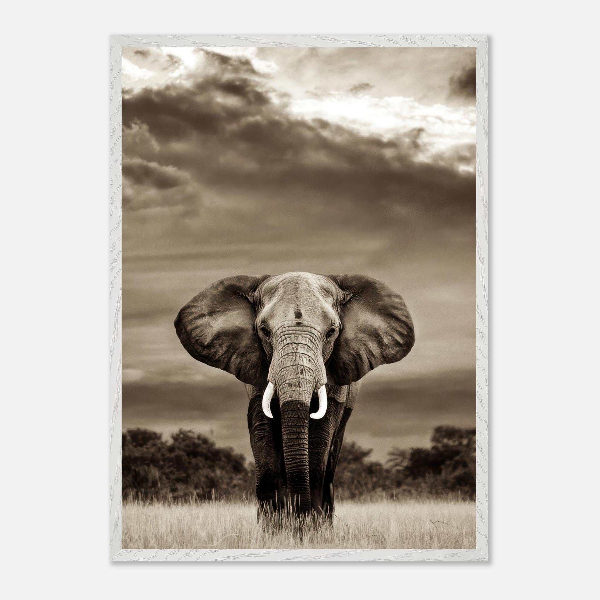 Stunning black-and-white elephant portrait photography showcasing majestic beauty in its natural habitat.