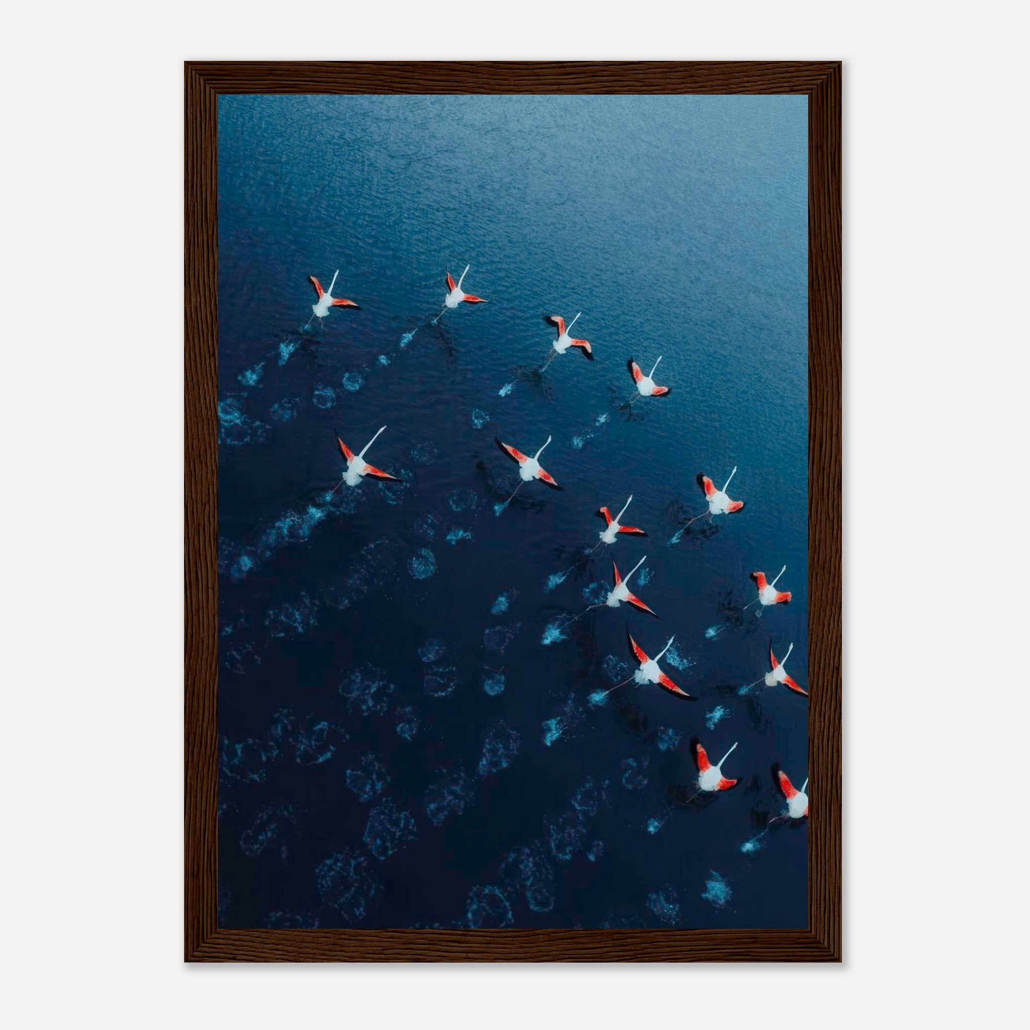 Framed print of flamingos in flight over deep blue waters, showcasing vibrant pink and navy tones.