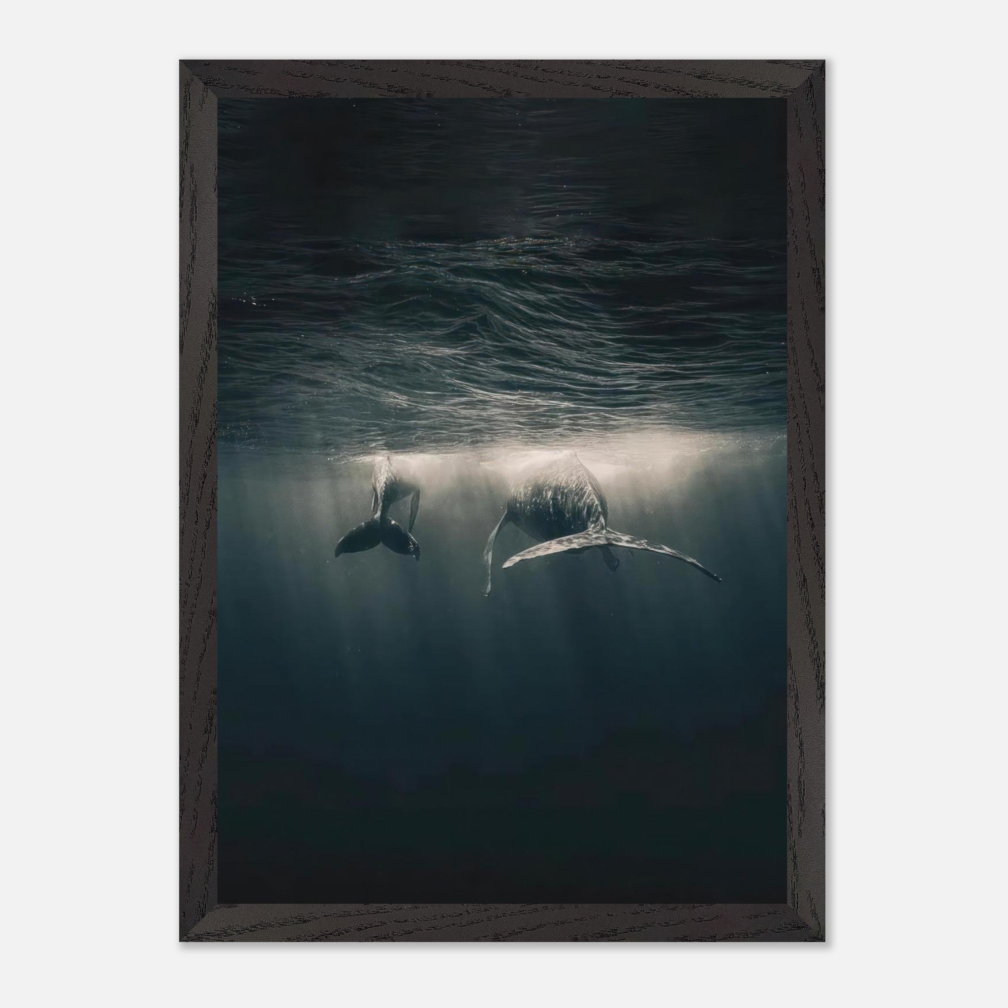 Whales swimming underwater in a vintage framed print, showcasing serenity and elegance of ocean life.