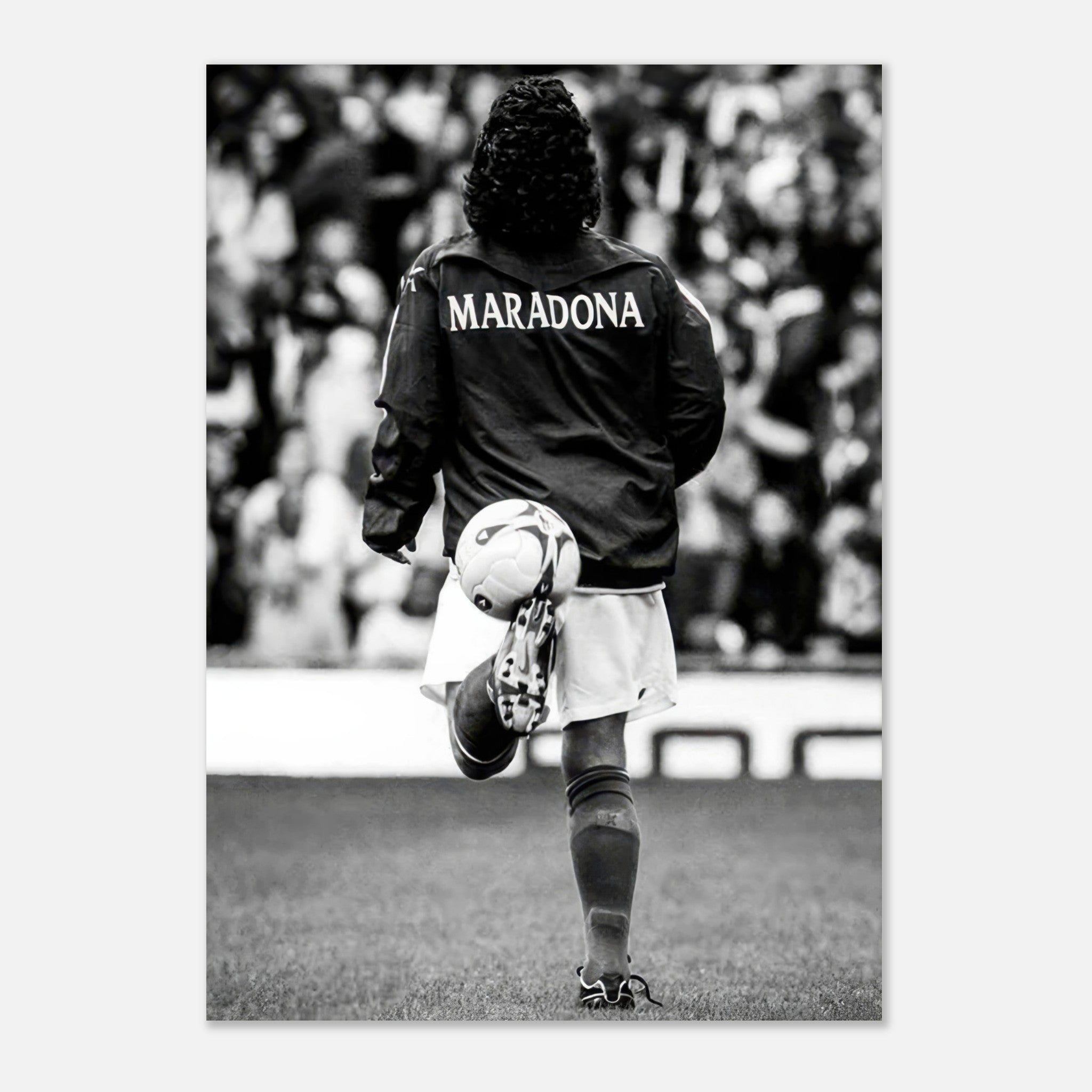 c9977ddd-735b-4a81-93d2-4d7e5541a5aa