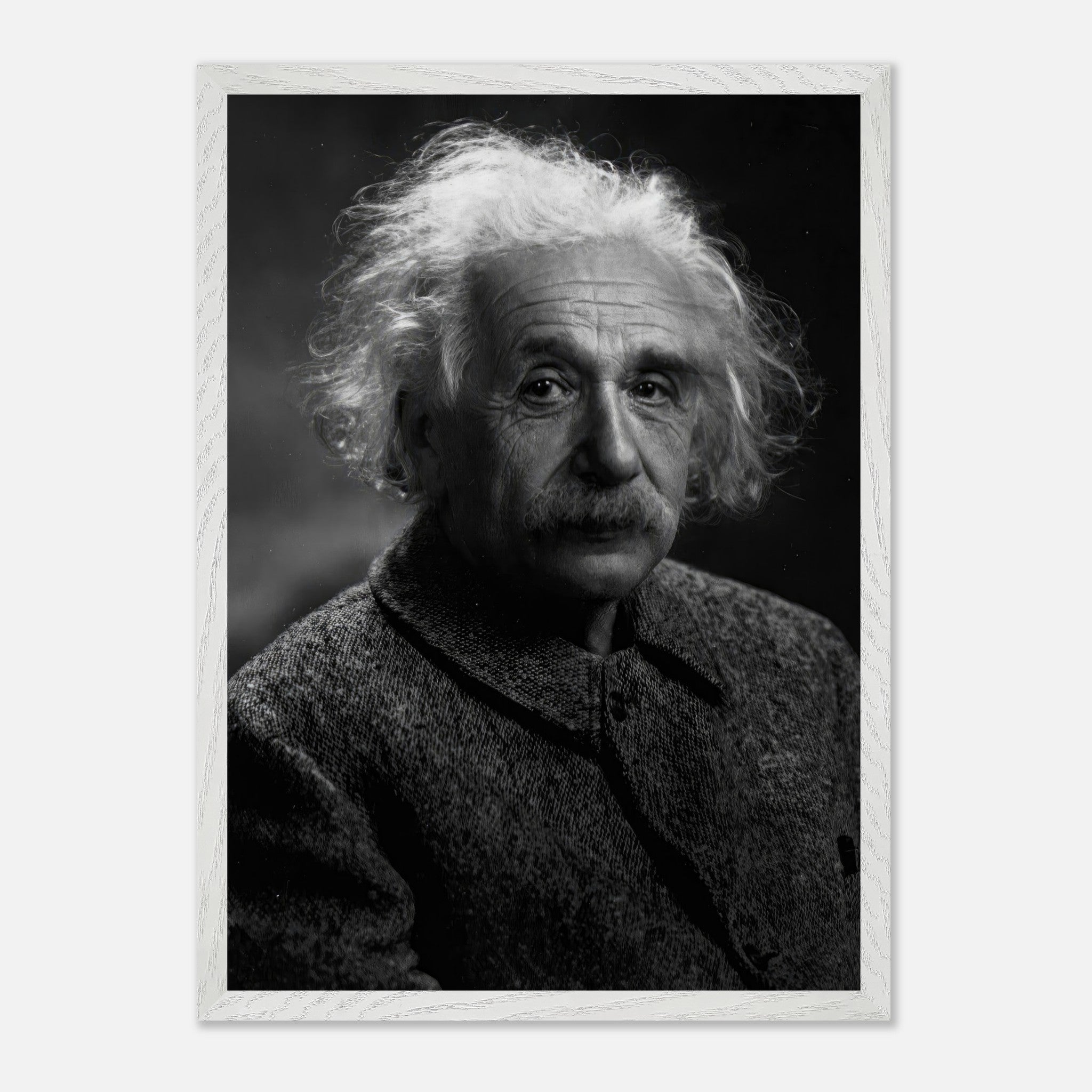 Museum-quality black-and-white portrait of Albert Einstein, showcasing his iconic features and expressive gaze.