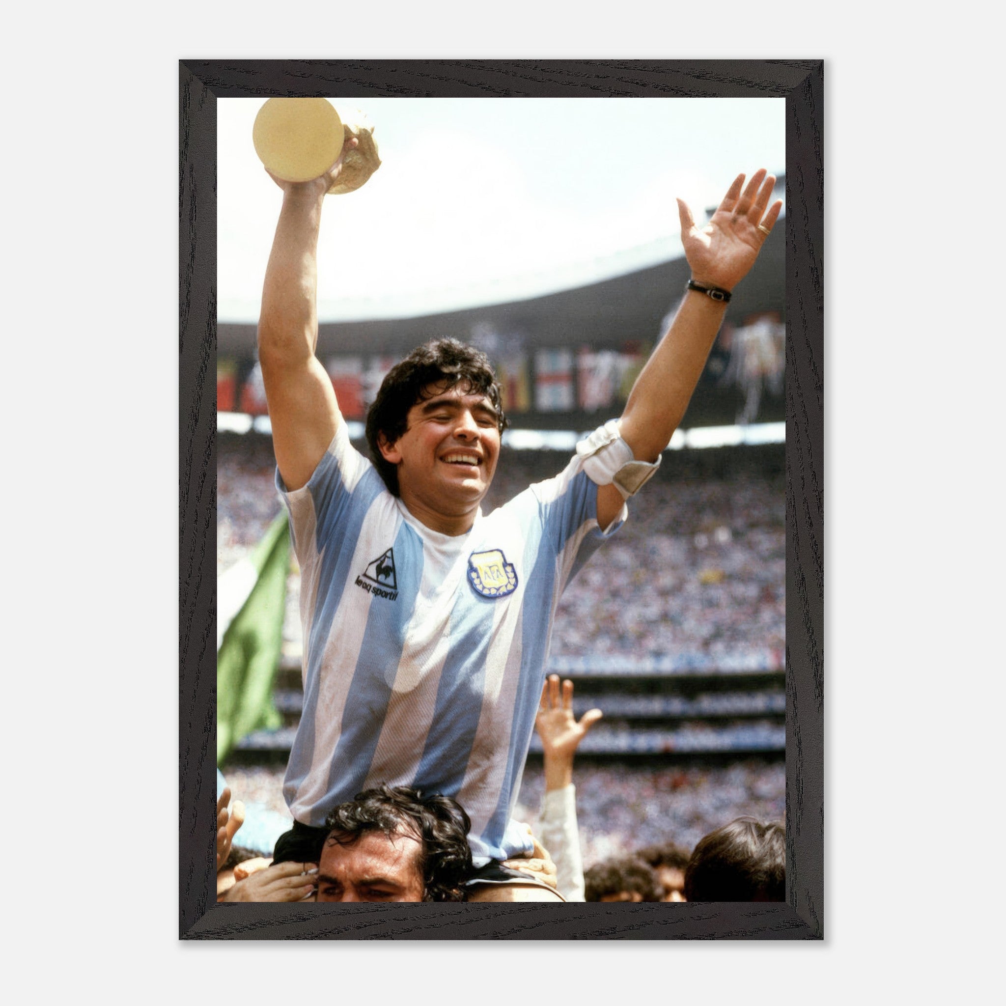 ca4433a6-7efc-4896-b498-981364c204a0