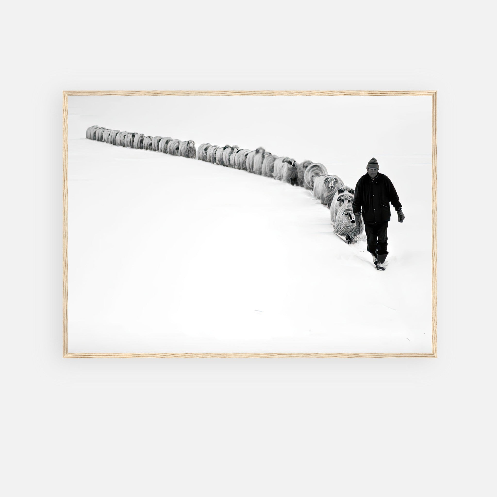 The Shepherd's Trail Framed Print showcasing a shepherd guiding his flock through a serene snow-covered landscape.