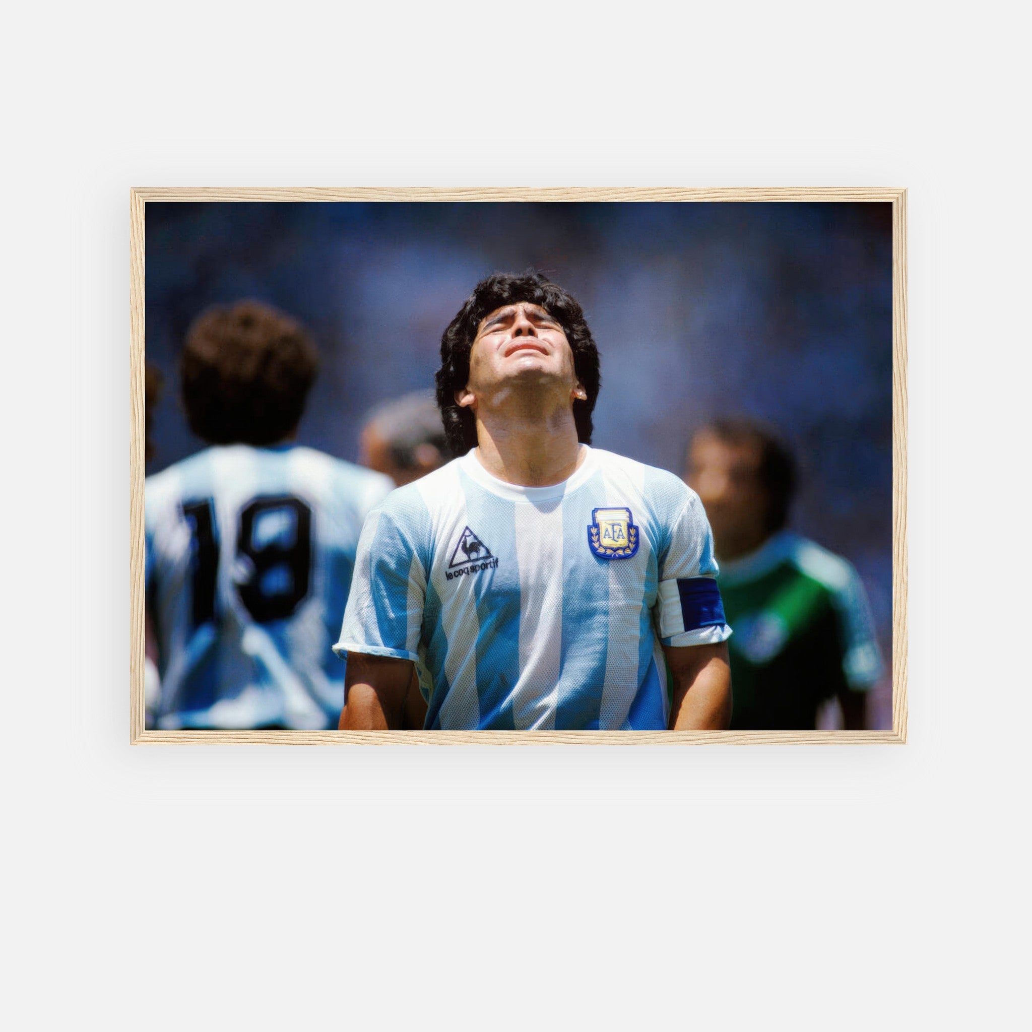 cd469d17-d61c-46df-a579-8865e733fead