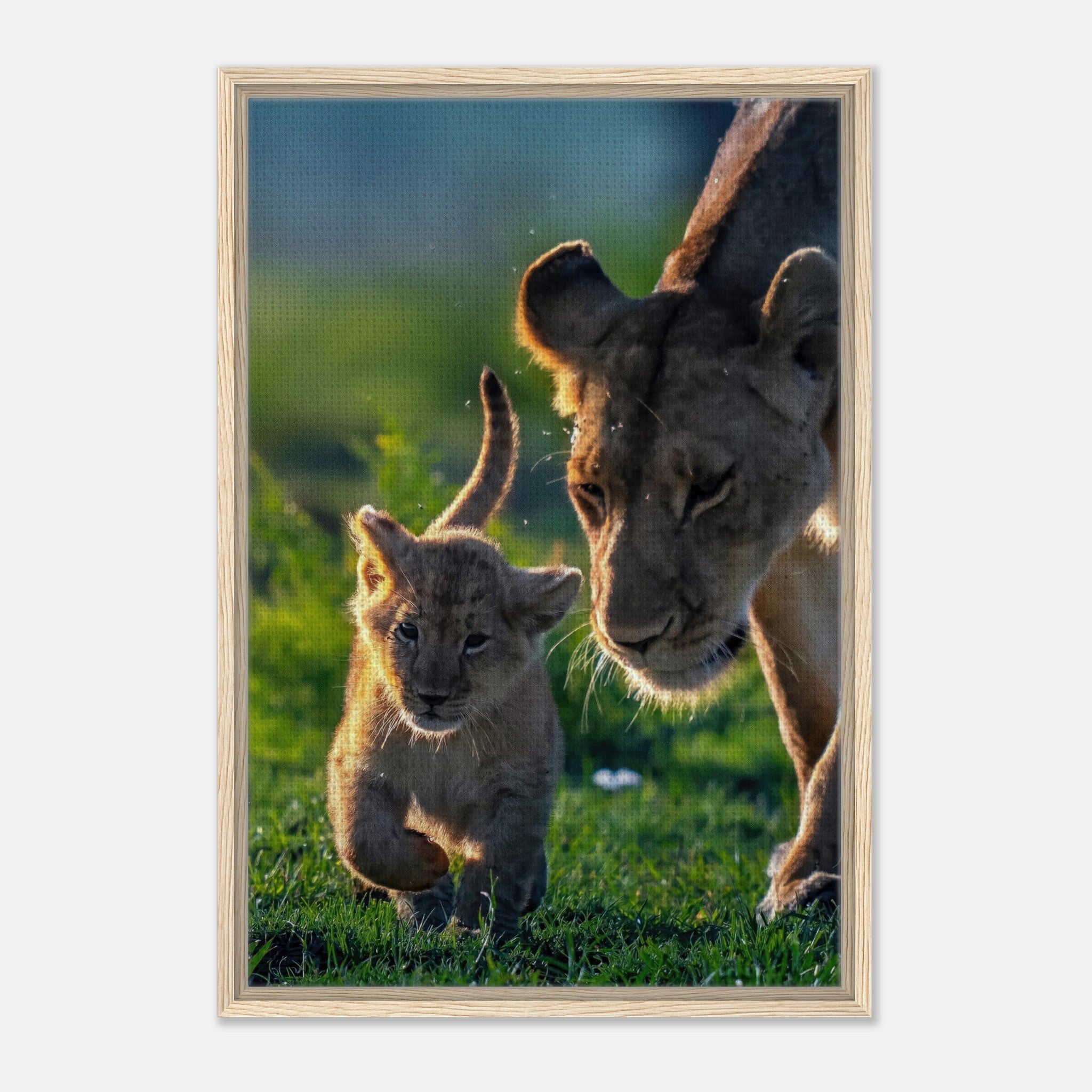 Protective lion mother and cub in sunlit savanna, depicted in a framed canvas print.