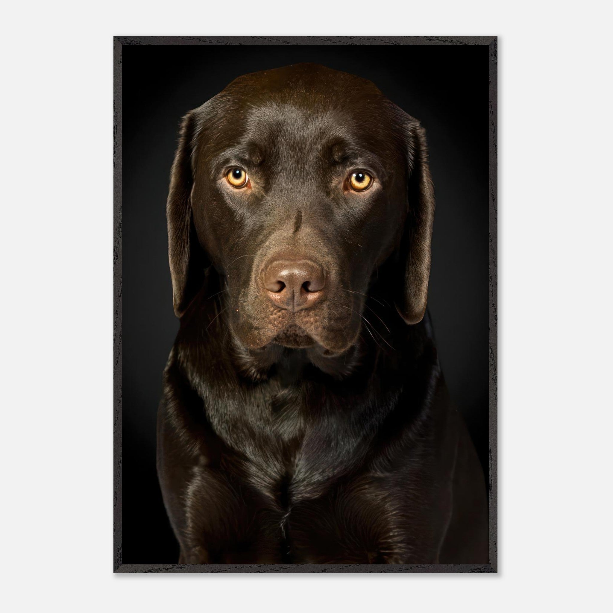 Portrait of a Chocolate Labrador with soulful gaze and glossy coat, museum quality fine art print.