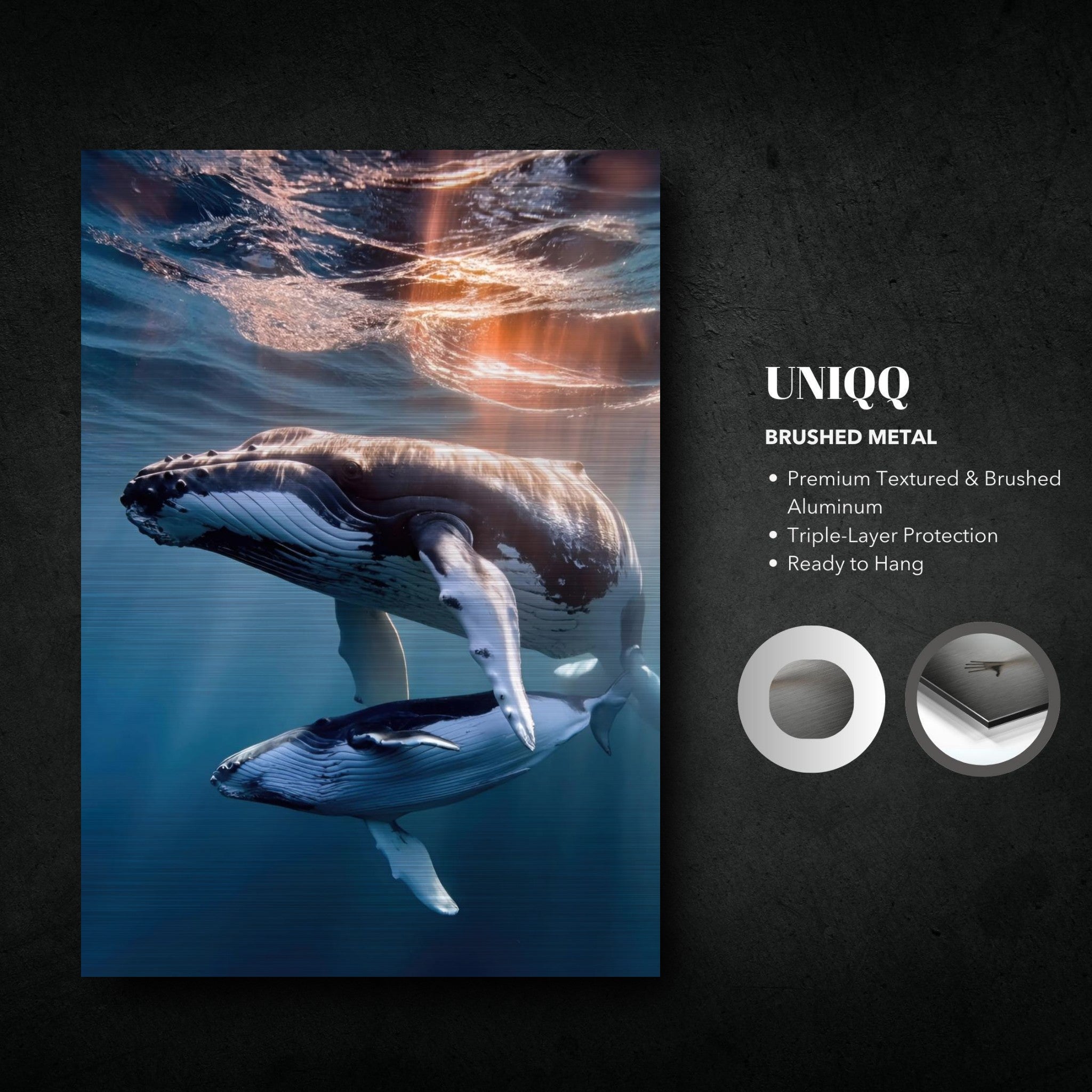 Underwater photography of a mother humpback whale and calf on brushed metal print, showcasing marine beauty and elegance.