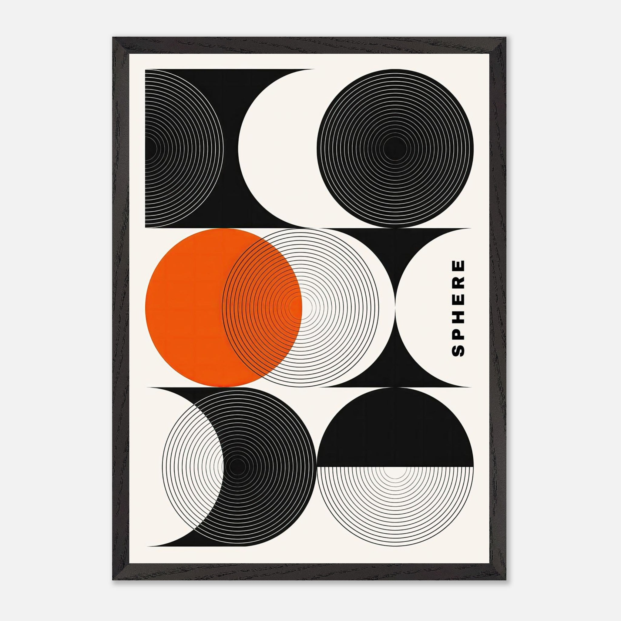 Abstract geometric sphere art print featuring concentric circles and bold design elements, museum quality decor.