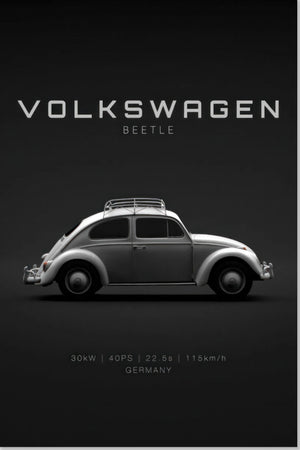 Maggiolino Volkswagen