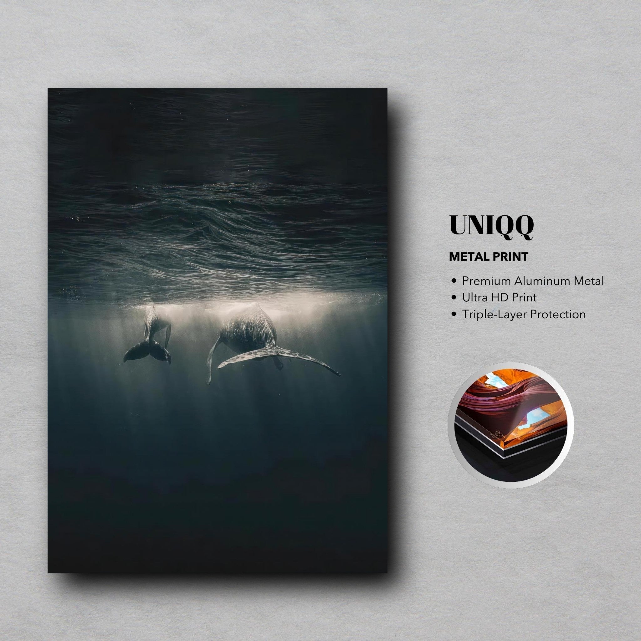 Whales swimming underwater in a serene ocean, showcased on a premium metal print.
