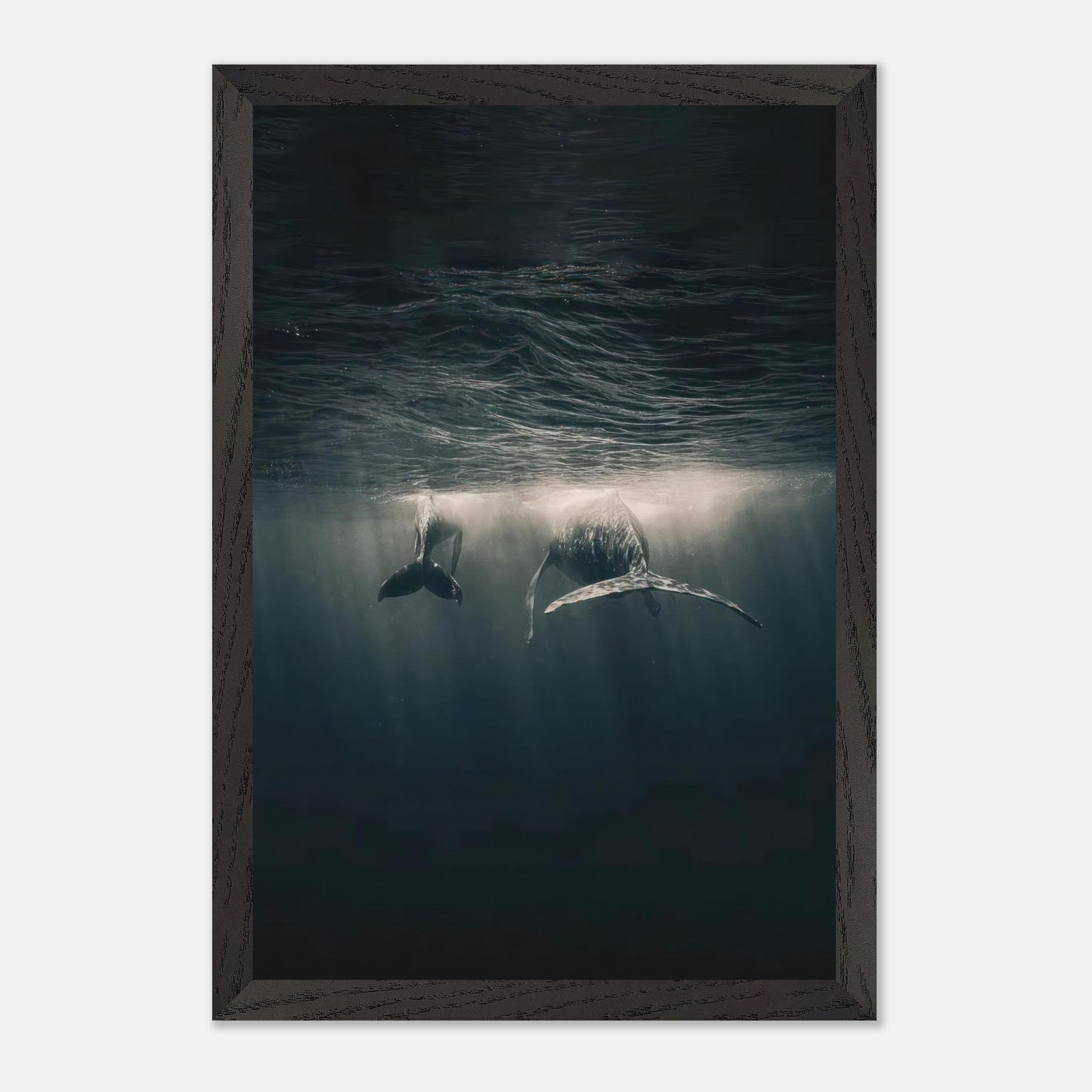 Stunning fine art print of two whales underwater, showcasing serene elegance and tranquility in the deep sea.