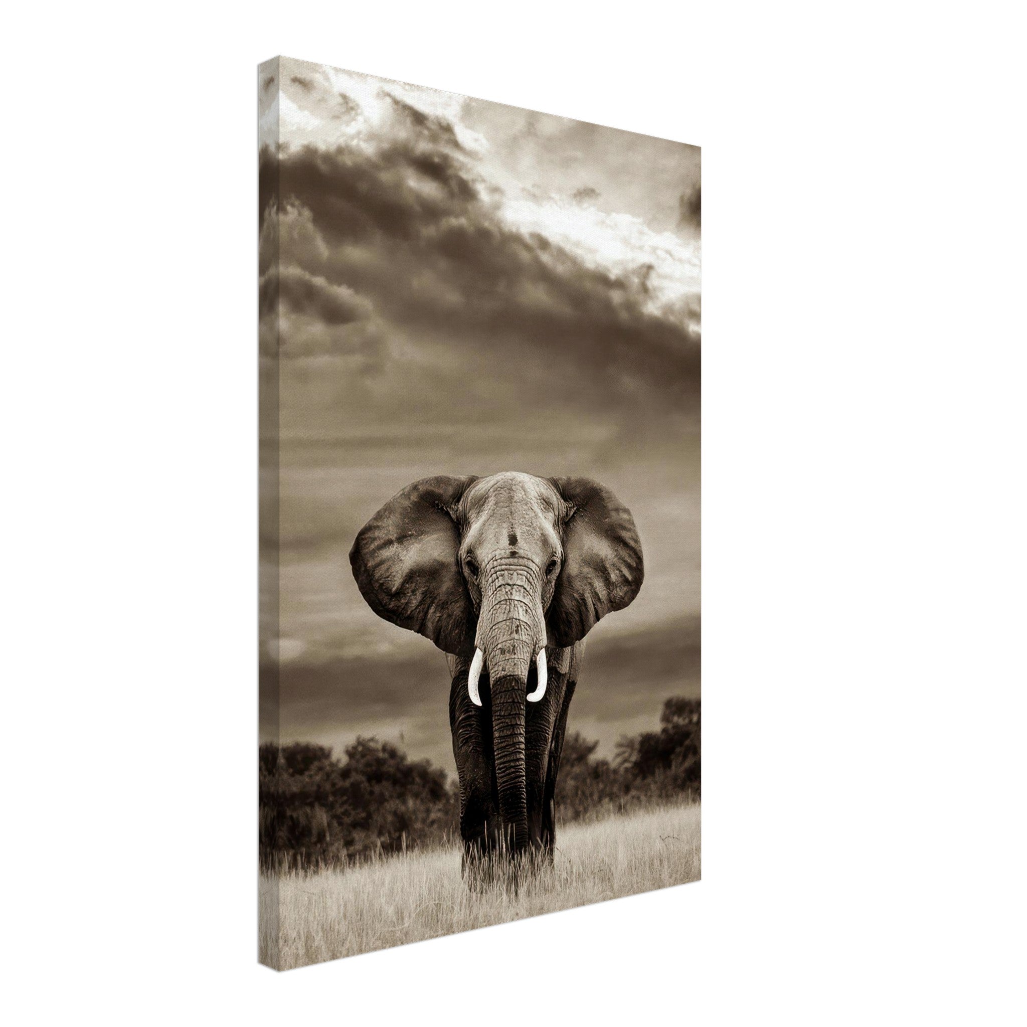 Black and white canvas print of an elephant portrait showcasing its majestic presence and textured skin.