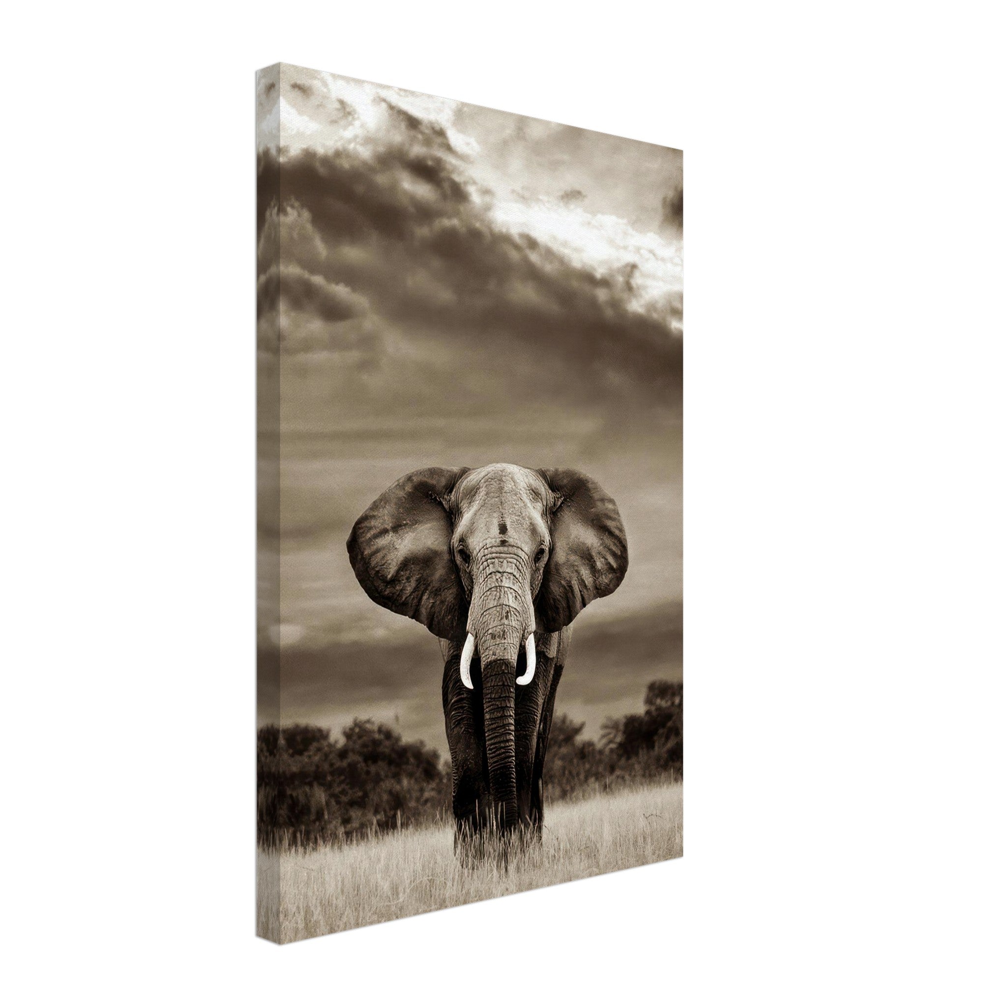 Black-and-white canvas print of an elephant portrait, showcasing its majestic presence and detailed features.
