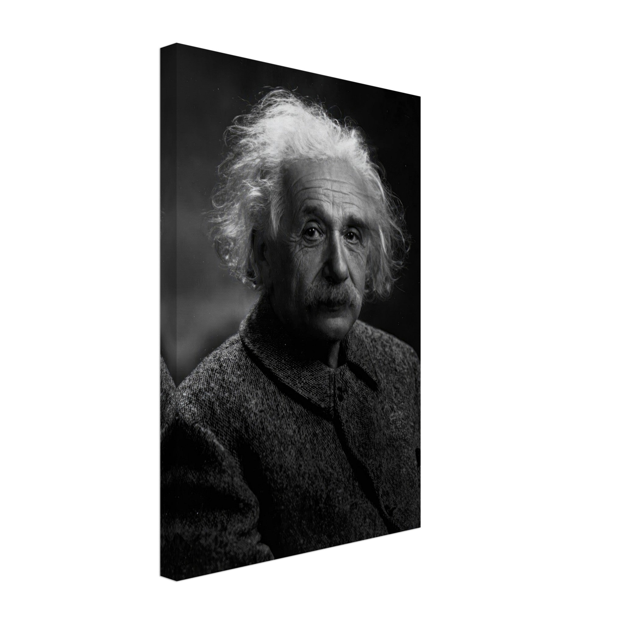 Albert Einstein black-and-white portrait canvas print showcasing his wise expression and iconic hairstyle.
