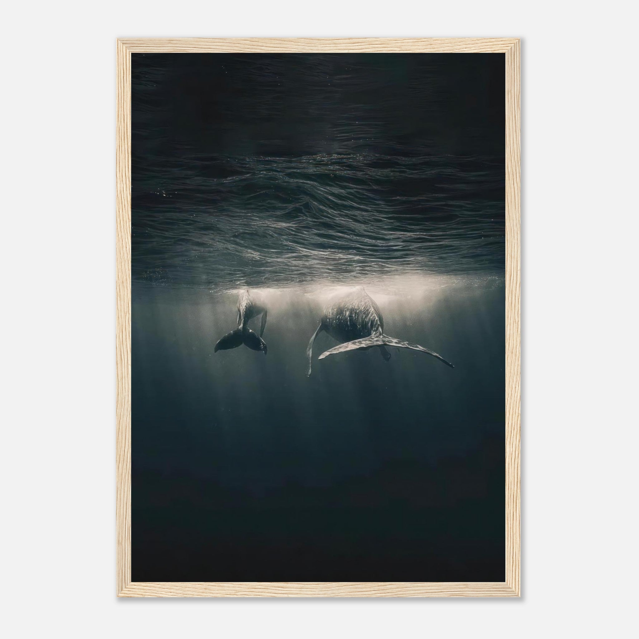Stunning framed print of two whales swimming underwater in the ocean, illuminated by soft rays of sunlight.