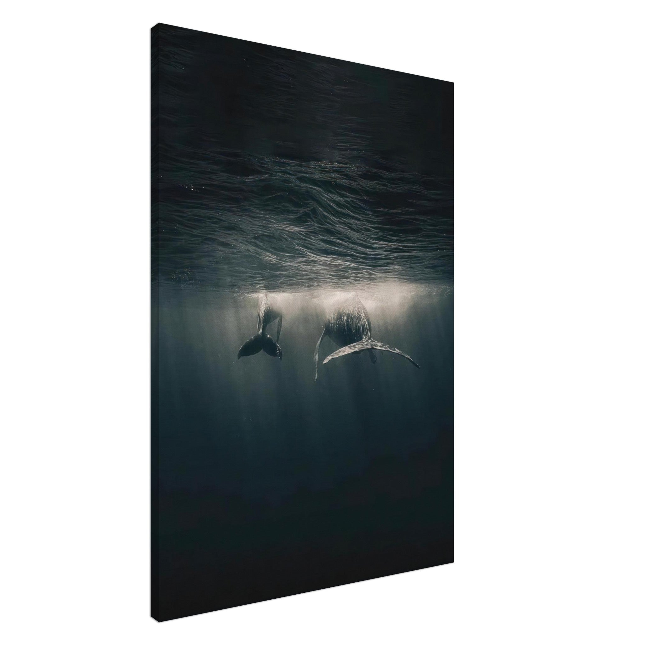 Majestic whales swimming underwater in serene ocean light | Canvas Print