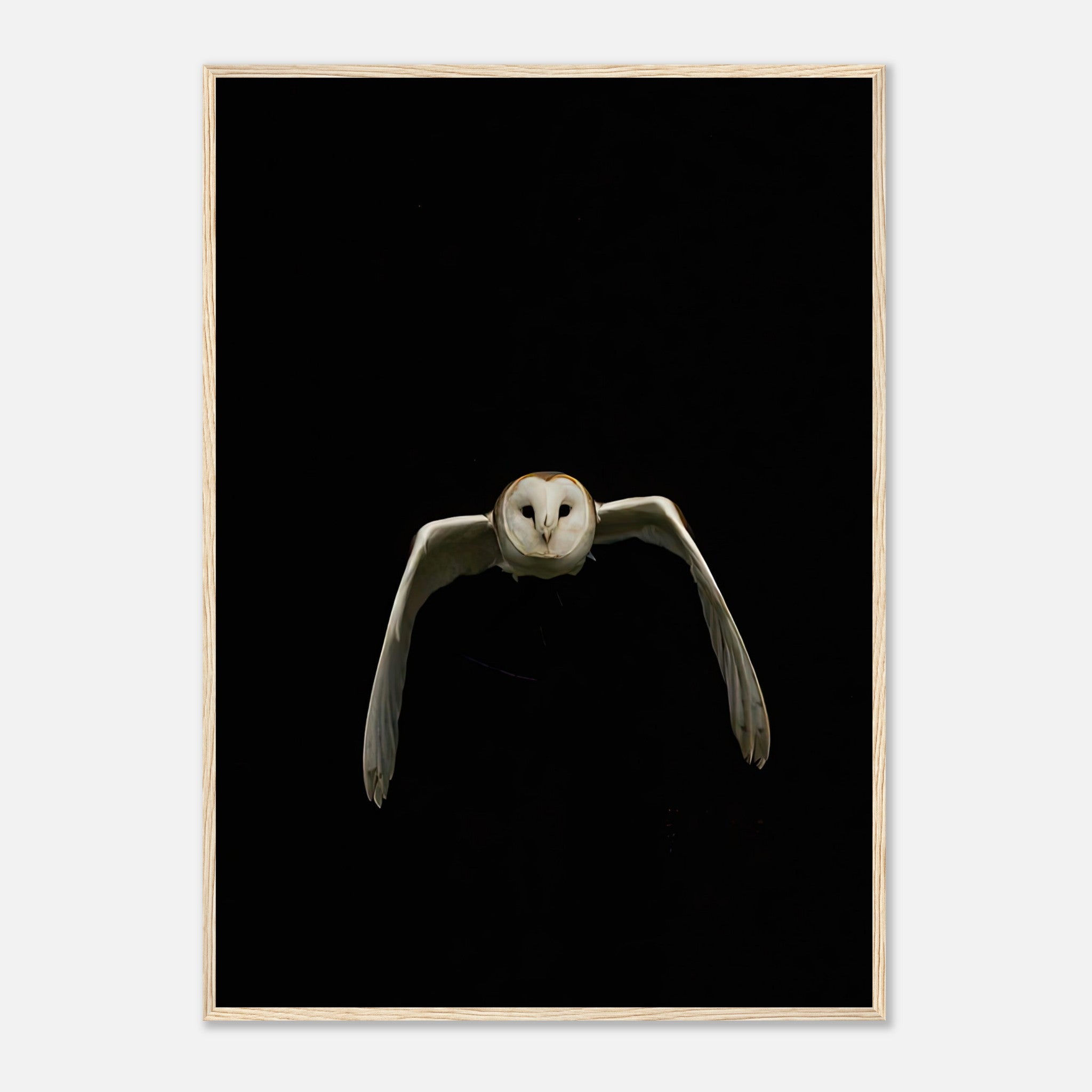 Owl Framed Print featuring a barn owl in mid-flight against a dramatic black background, enhancing modern decor.