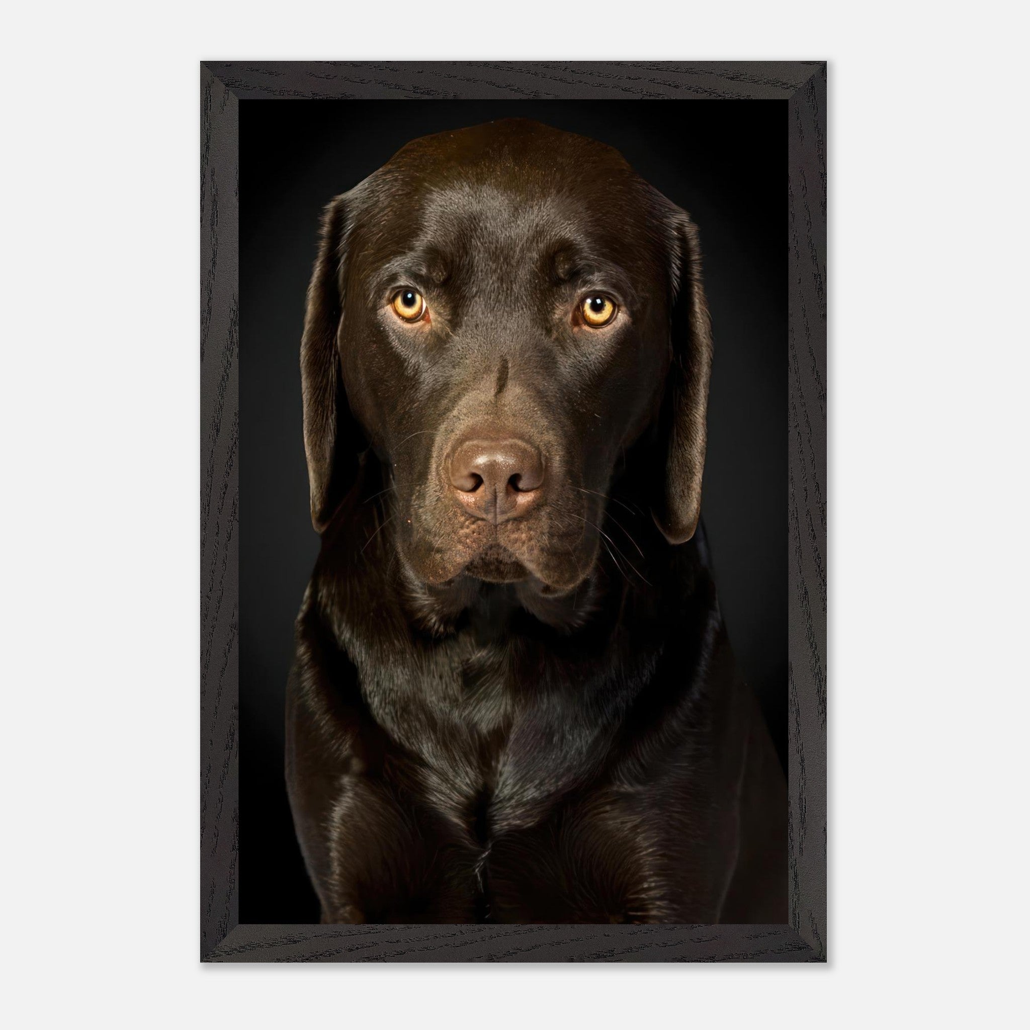 Chocolate Labrador portrait capturing rich coat and soulful eyes in fine art style.