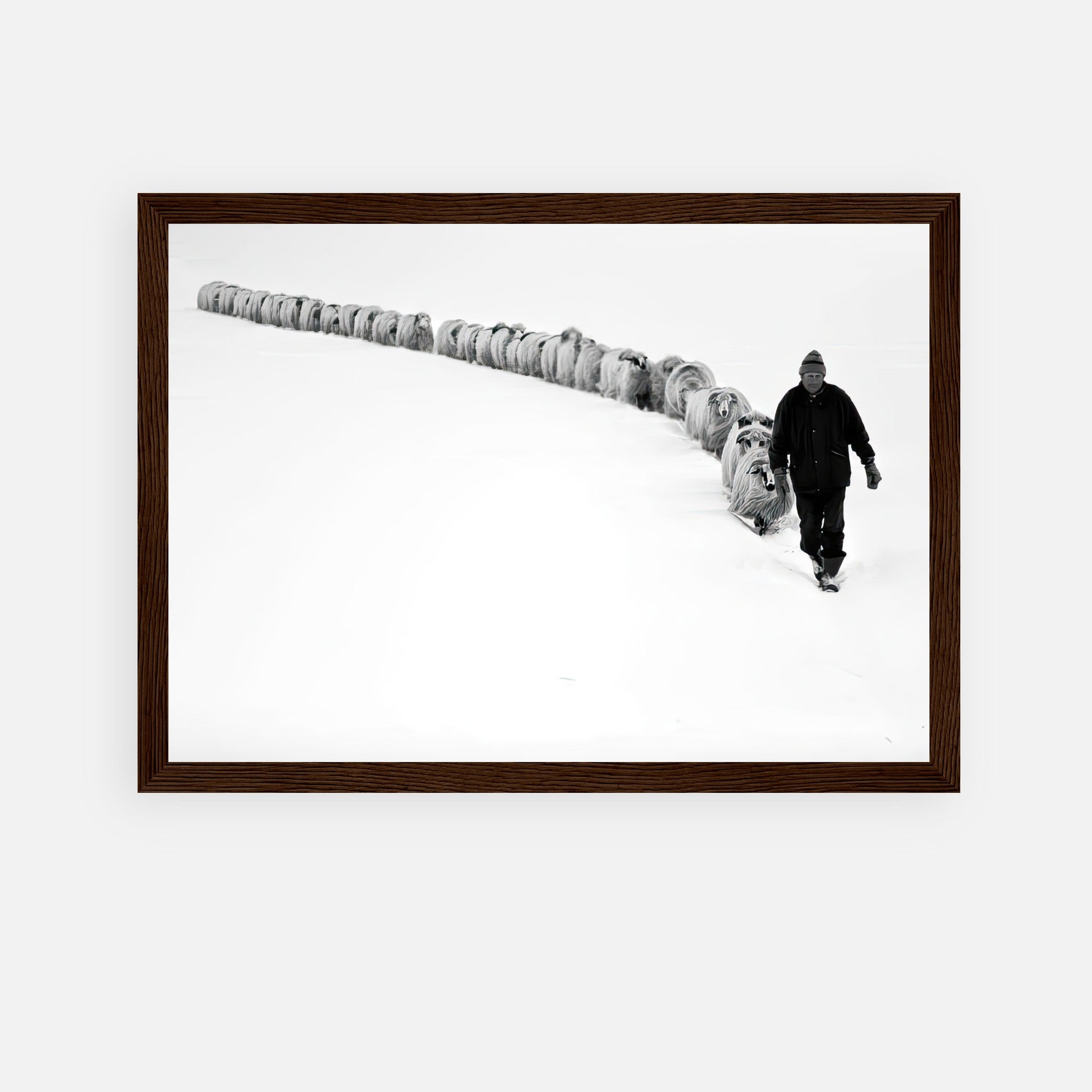 Black-and-white framed print of a shepherd guiding his flock through a snowy landscape, symbolizing resilience and unity.