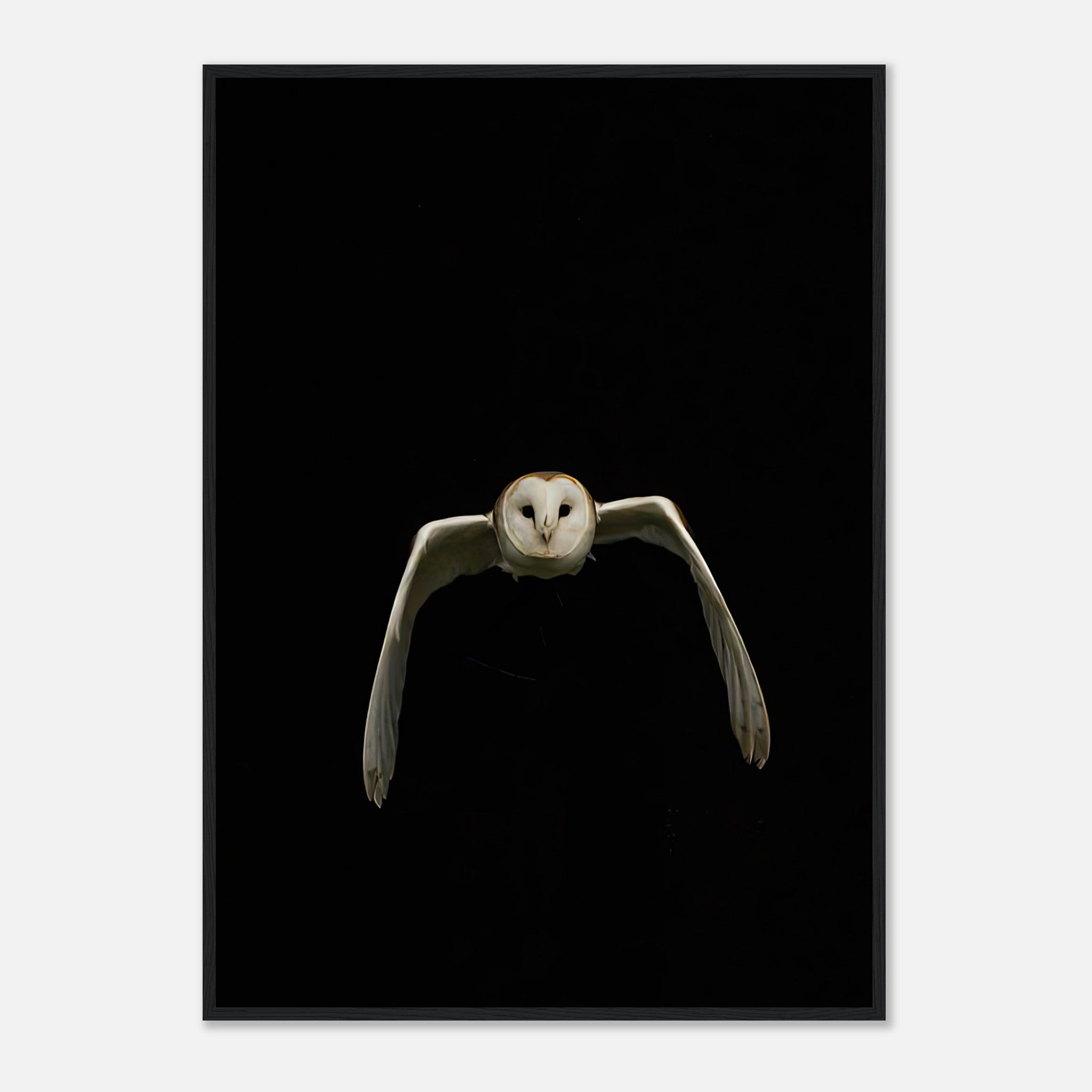 Owl framed print featuring a barn owl in mid-flight on a black background, adding elegance to any space.