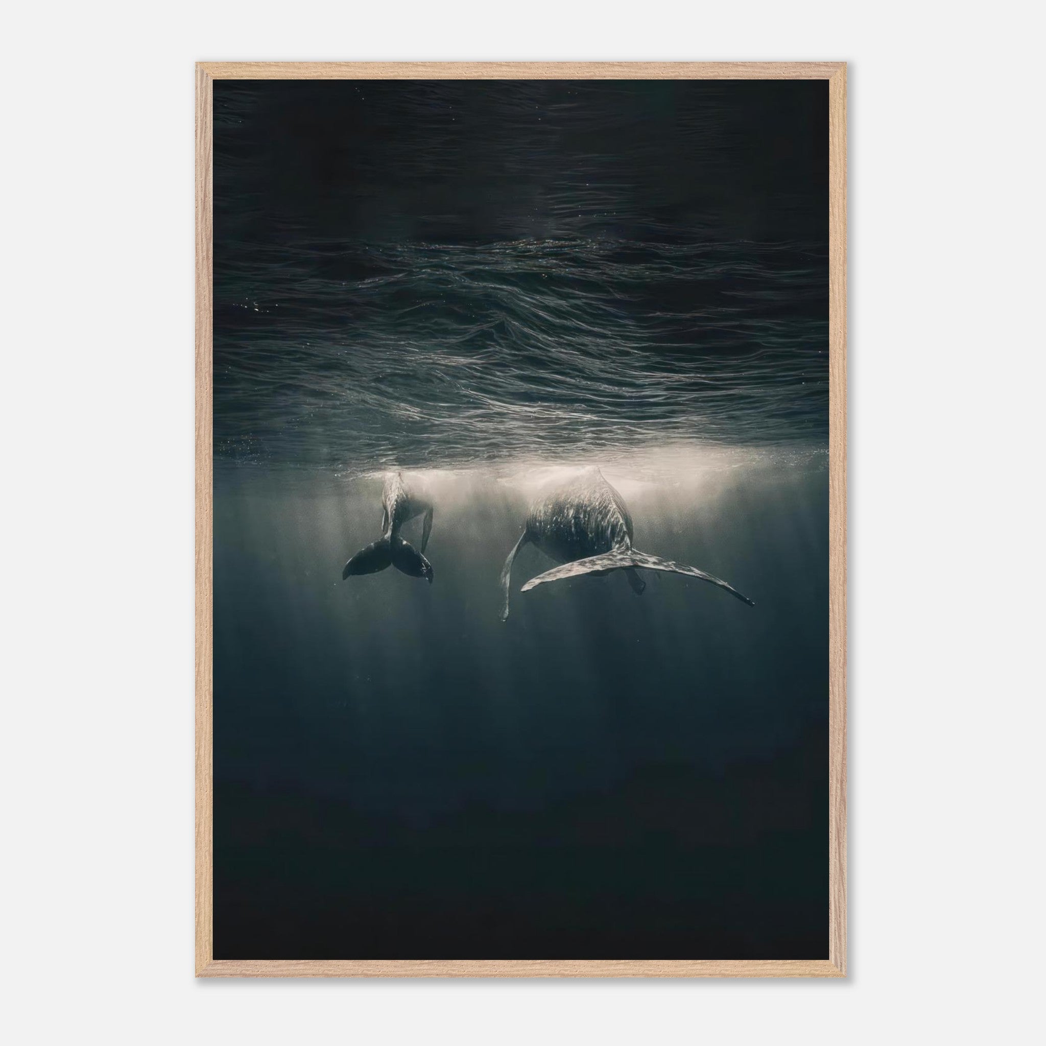 Whales swimming underwater in a serene ocean scene, captured in a vintage framed print for tranquil home decor.