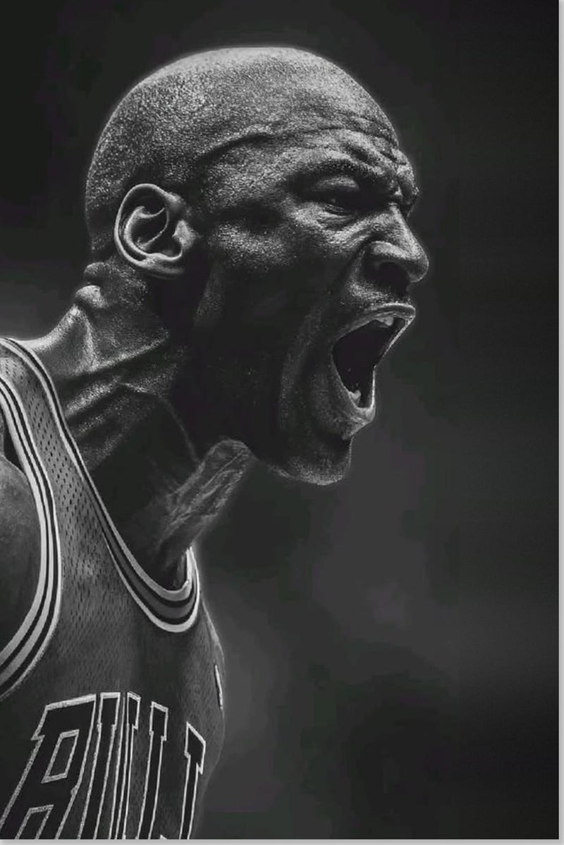 Michael Jordan Chicago Bulls