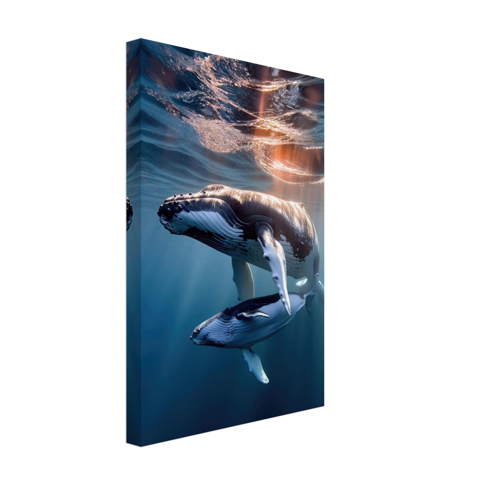Underwater photography of humpback whale and calf canvas print, showcasing their grace in the ocean's deep blue water.