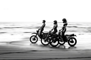 Rebels on the Shore