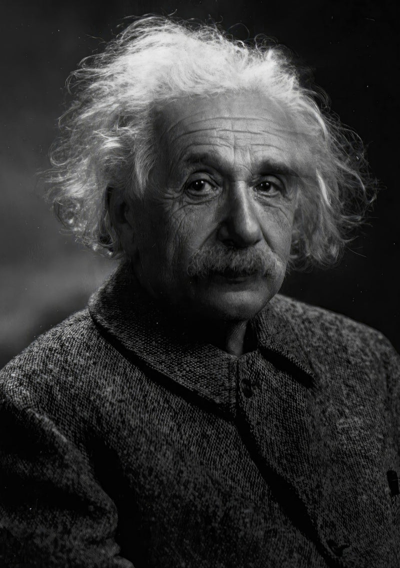 Albert Einstein Portrait