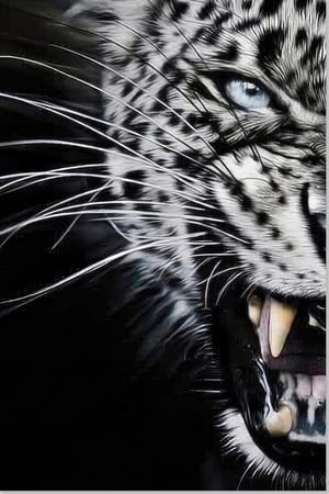Leopard Close-Up Portrait