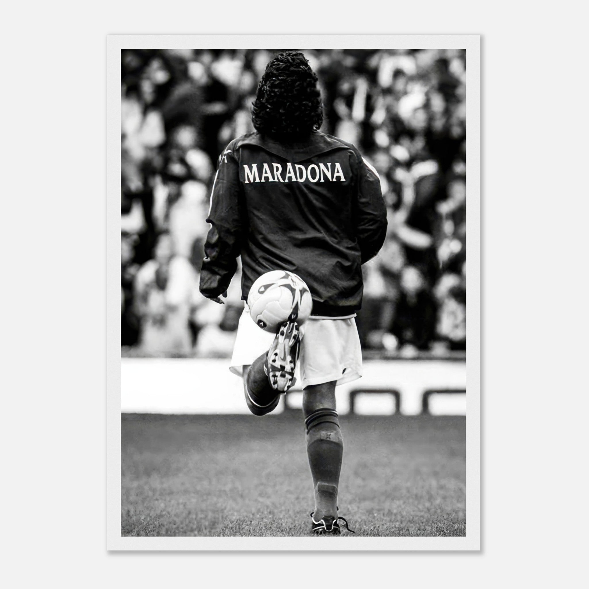 e14d6732-018c-47e4-a6c0-f86fd07aaca6