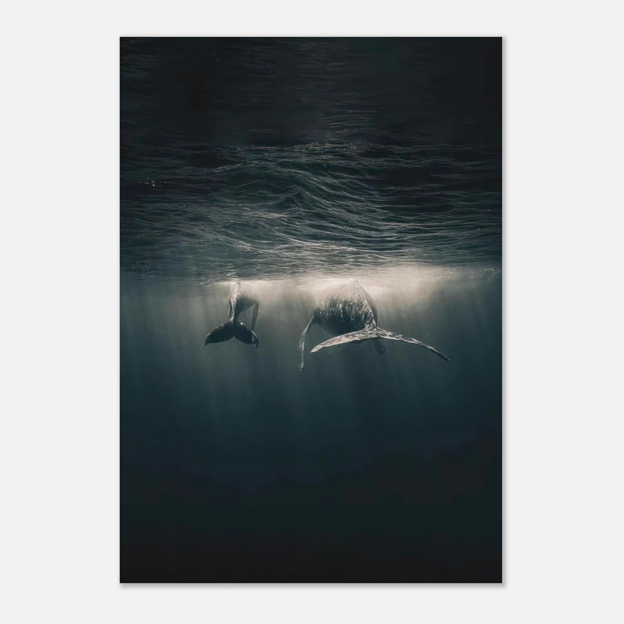 Whales gliding underwater in the ocean, illuminated by sunlight beams, showcasing the beauty of marine life.