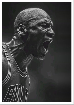 Michael Jordan Chicago Bulls