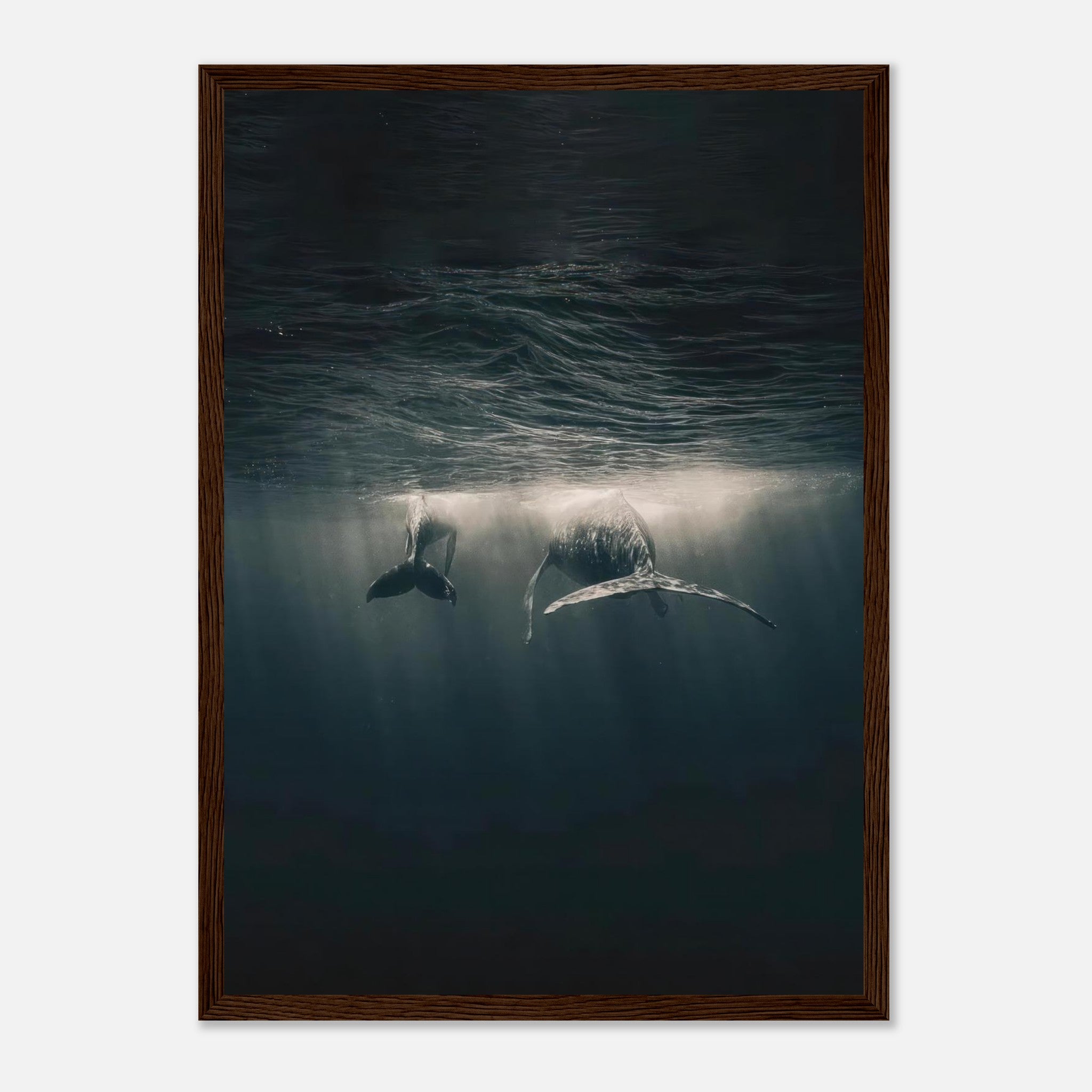 Whales swimming underwater in a framed print, showcasing marine beauty and sunlight reflections.