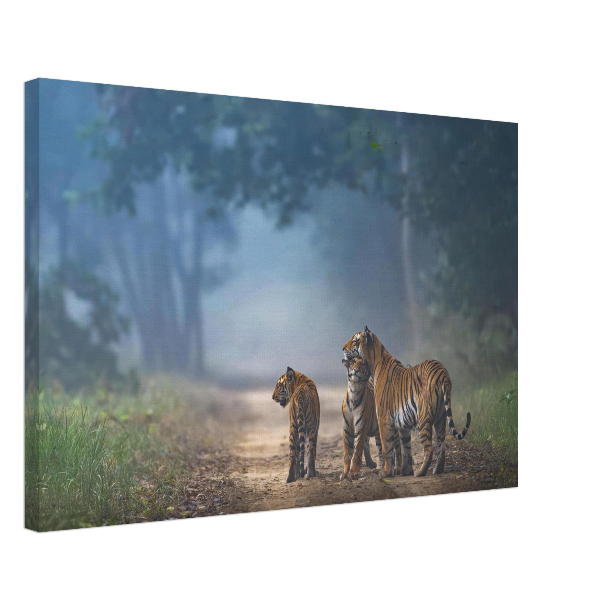 A tiger family walking through a misty forest, showcasing strength and unity on 'The Bond of Tigers Canvas'.