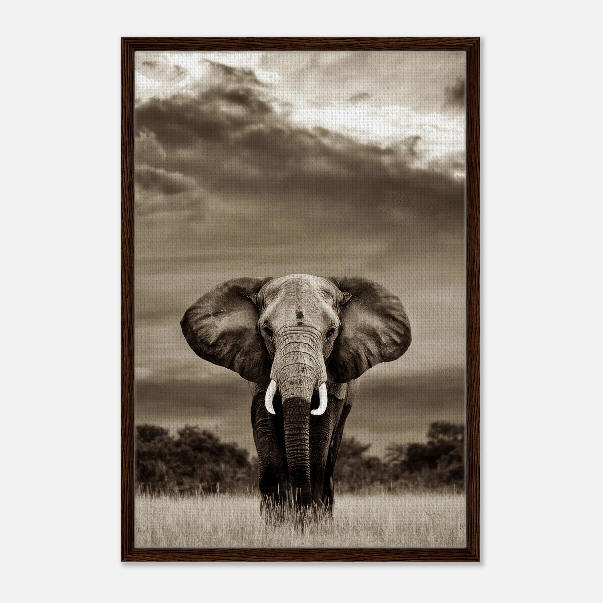 Framed canvas print of a majestic elephant portrait in monochrome, showcasing nature's beauty and strength.