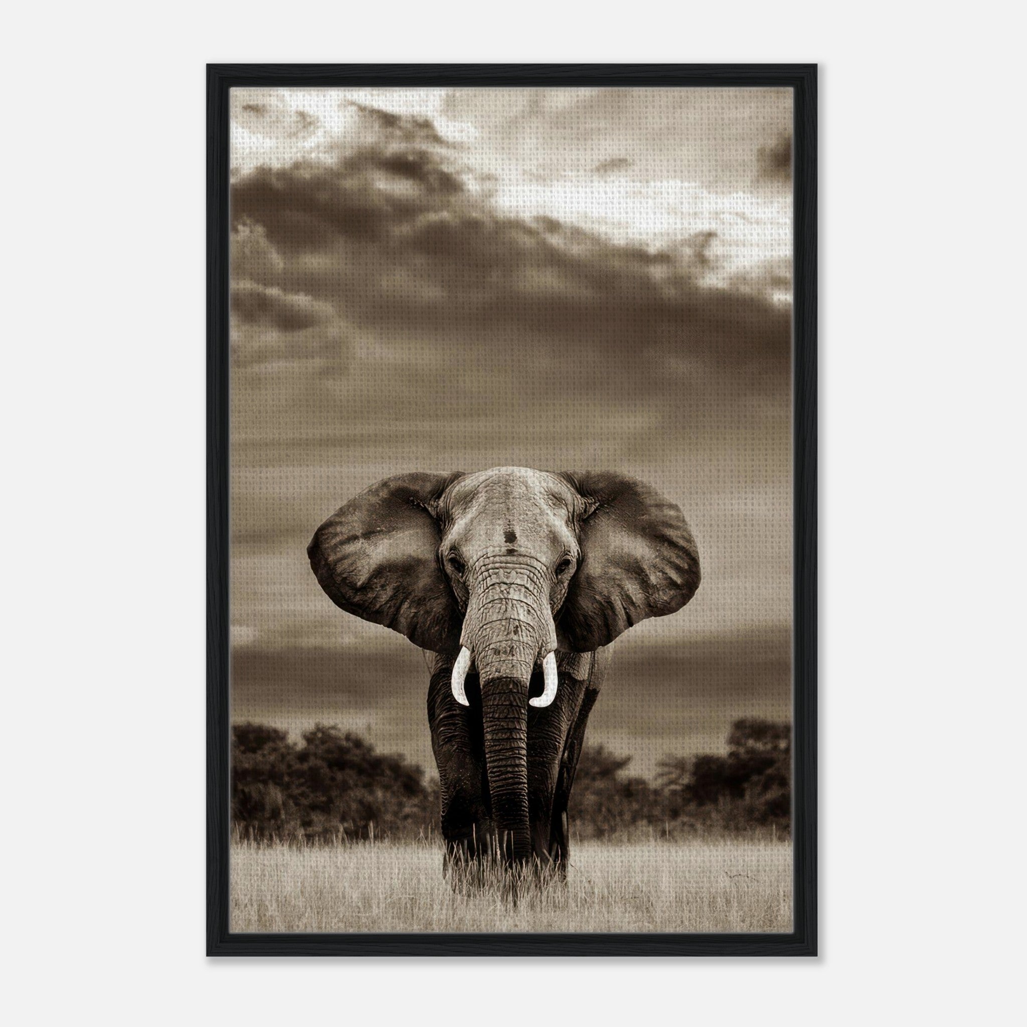 Black and white elephant portrait photography framed canvas print showcasing majestic wildlife.