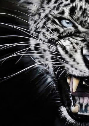 Leopard Close-Up Portrait