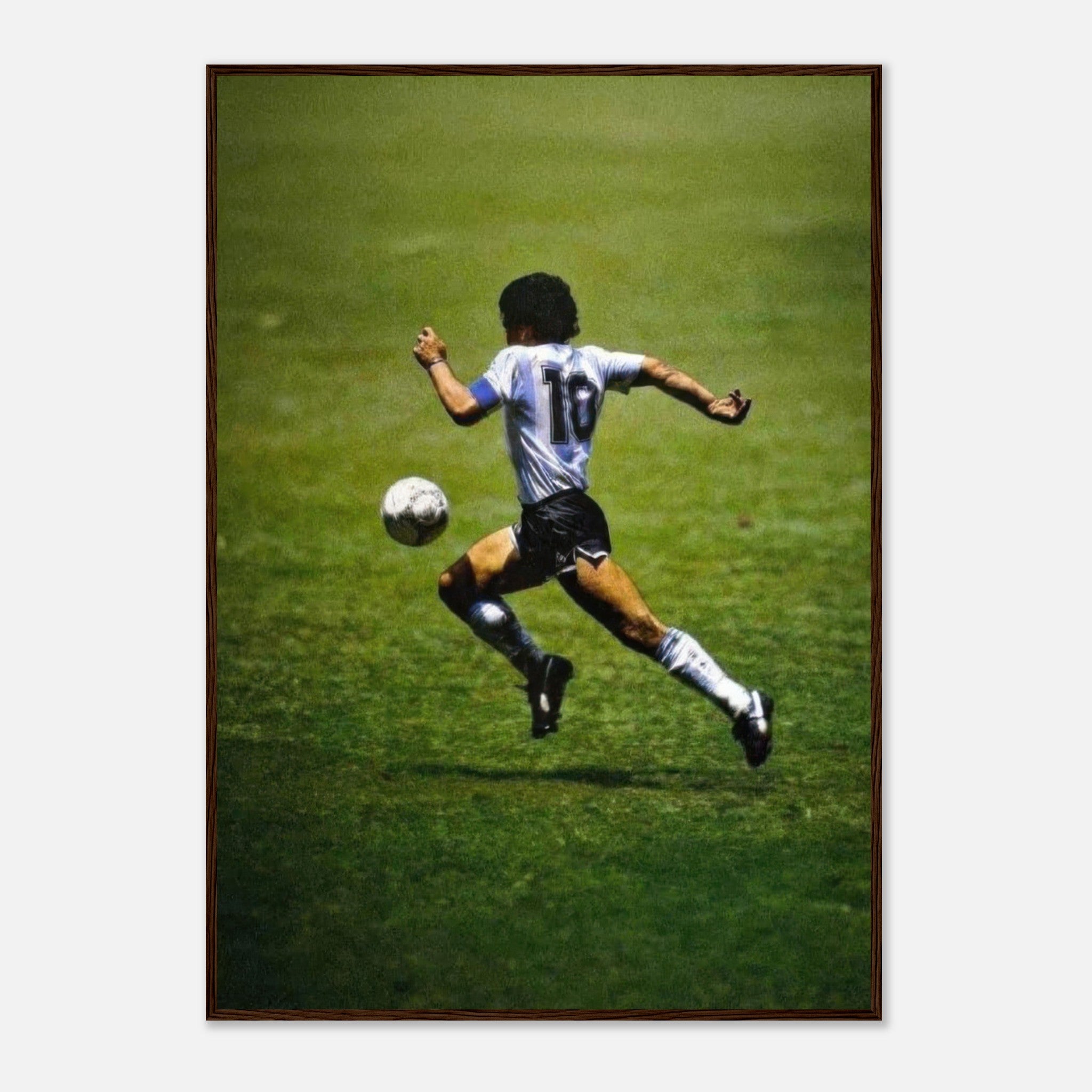 e54f21a1-1d93-4e96-9449-cfab8ca7ad1f