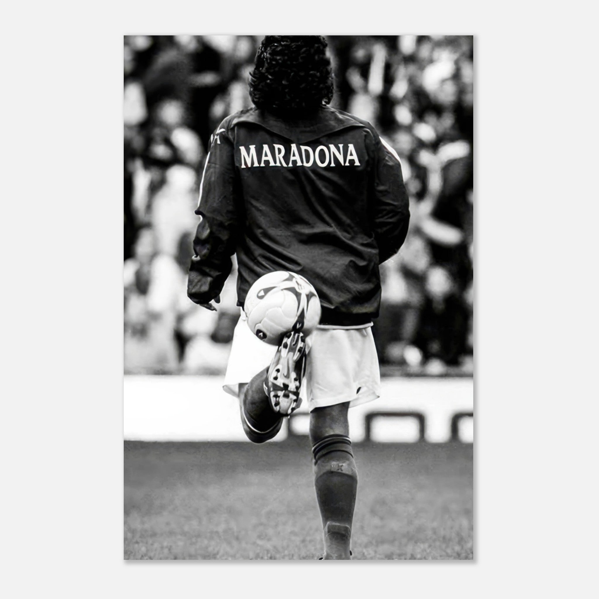 e5d0928f-c7b0-43e7-9dce-fd62e9710533