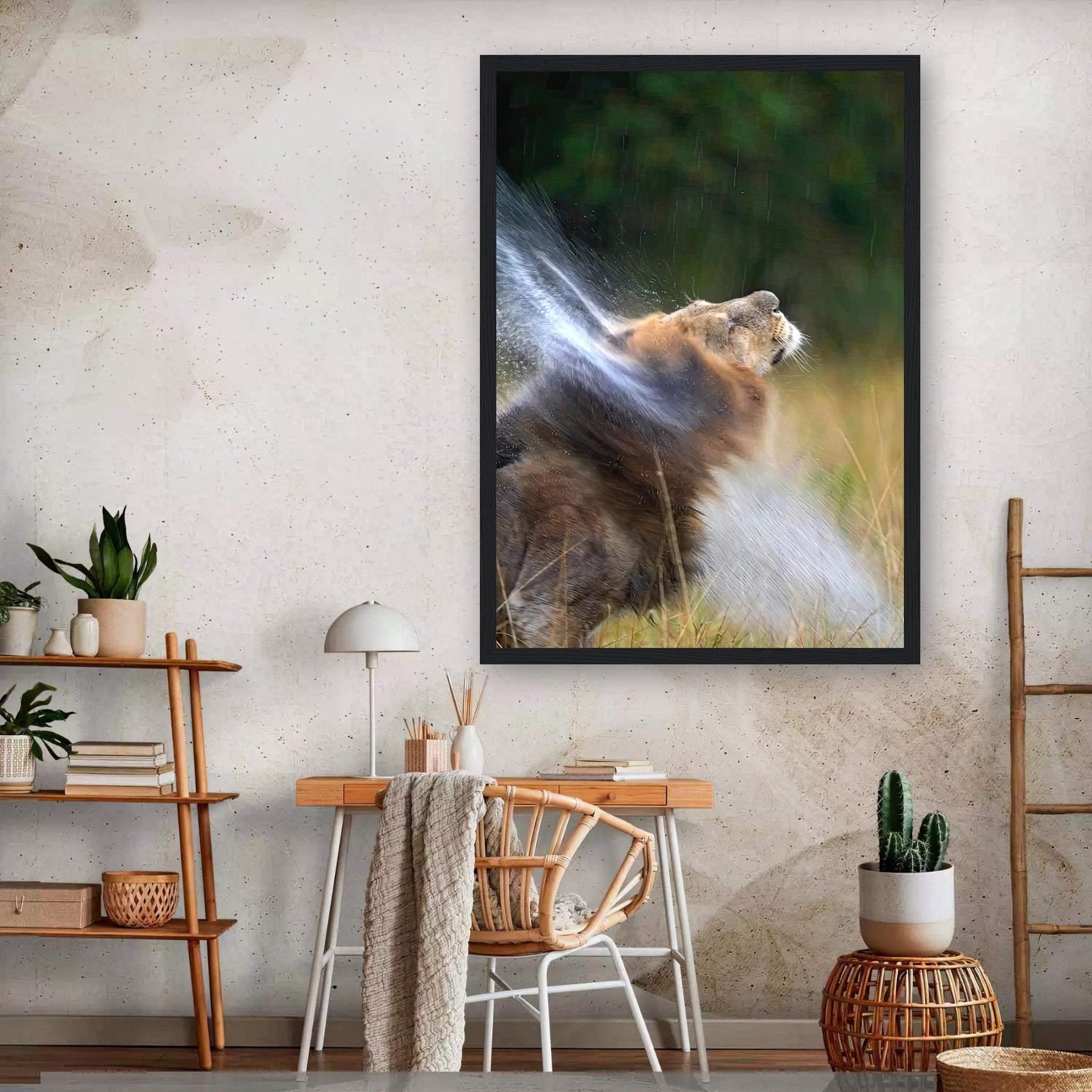 Lion shaking off water in a vibrant framed print, showcasing the beauty of wildlife and nature.