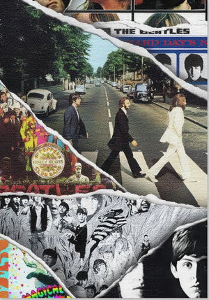 Die Evolution der Beatles