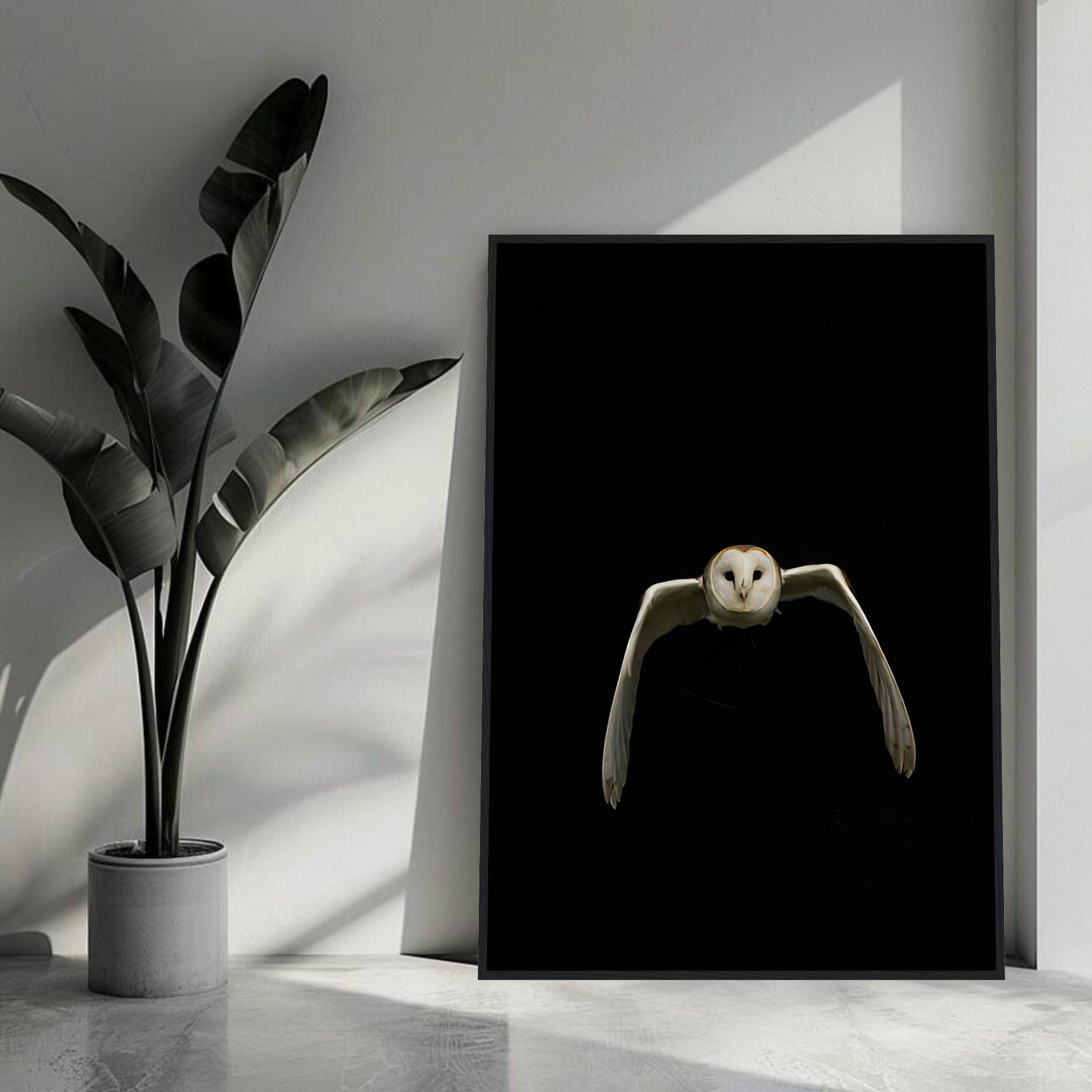 Owl framed print featuring a barn owl in flight against a black background, enhancing modern decor.