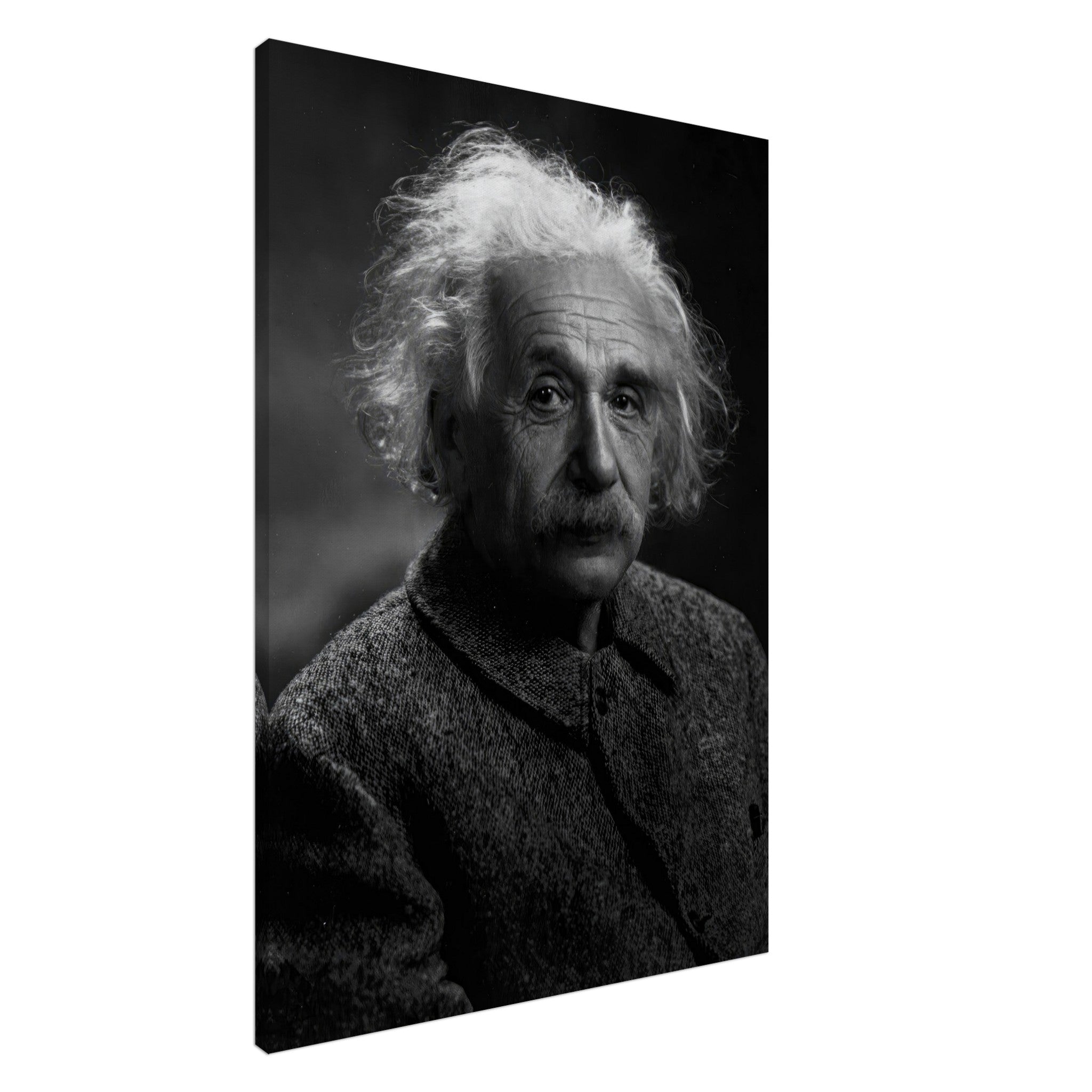 Albert Einstein portrait canvas print in black and white, showcasing his wise expression and iconic hairstyle.