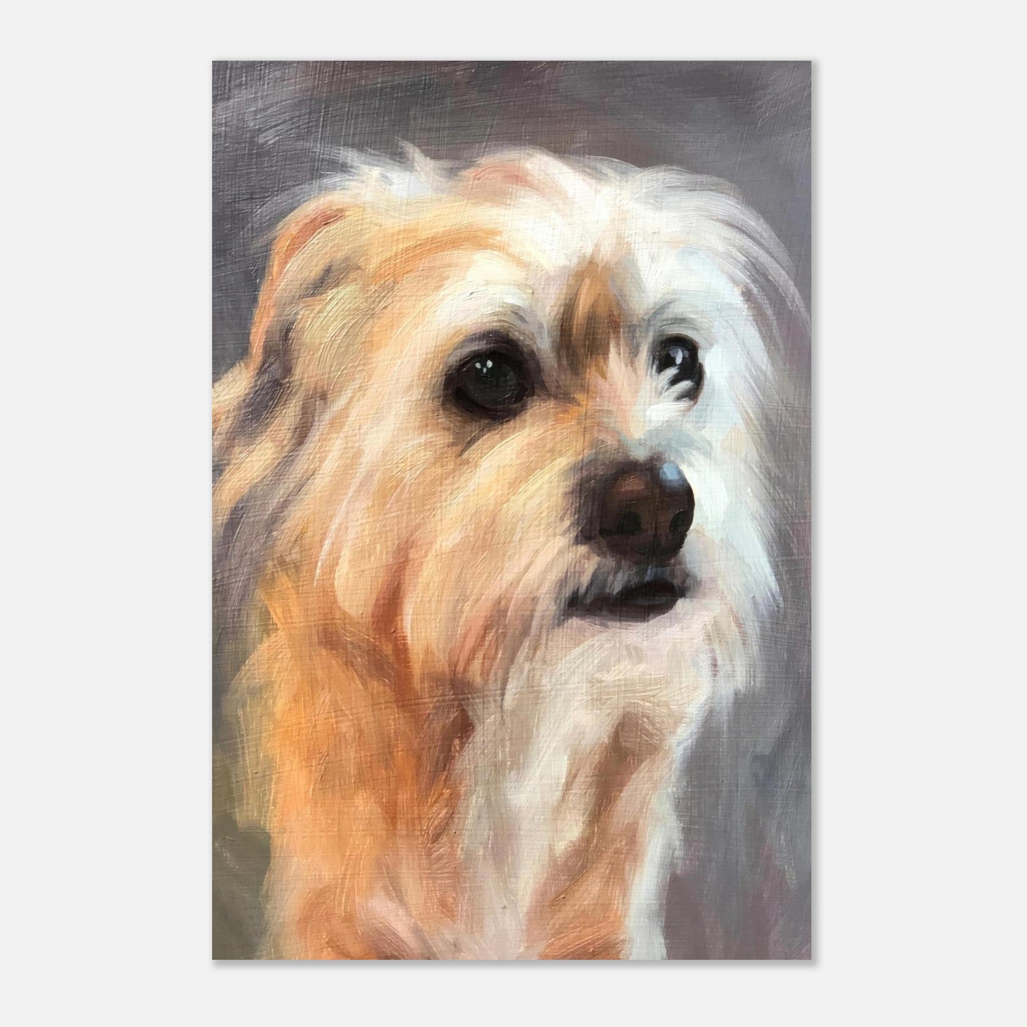 Lifelong terrier dog painting in vibrant colors, showcasing detailed fur and expressive eyes on metal print.