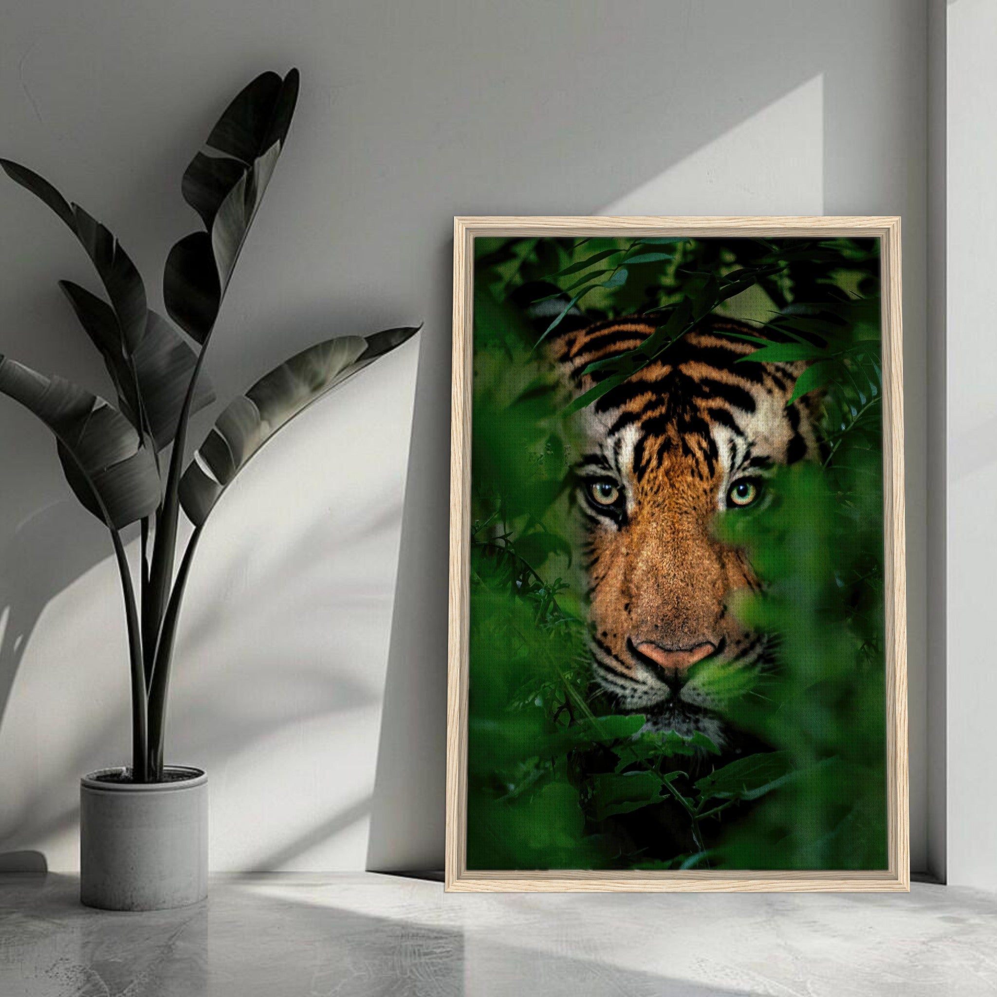 Tiger peering through jungle foliage in a framed canvas print, showcasing its intense gaze and vibrant colors.
