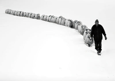 Le Sentier du Berger
